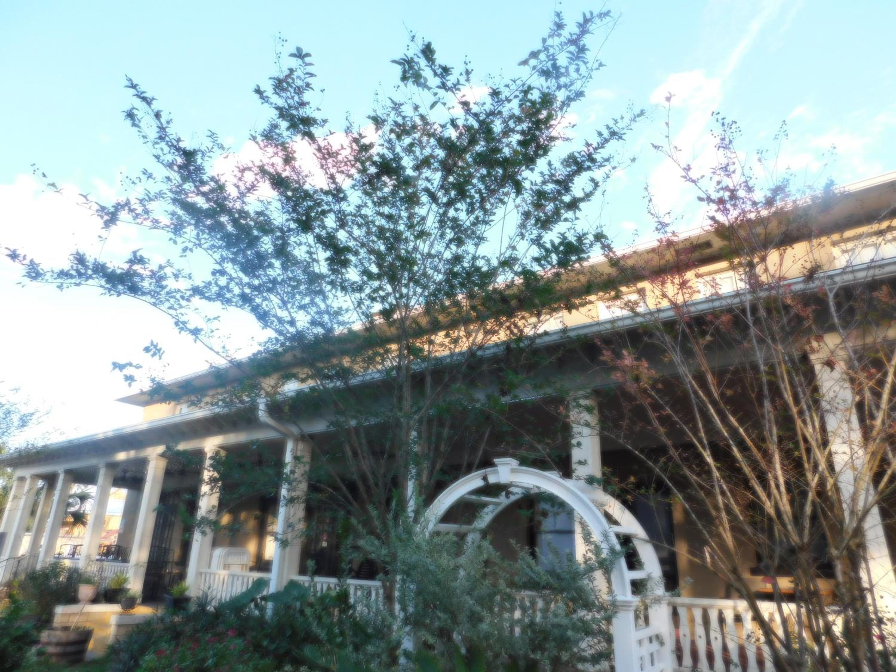 Cassadaga Hotel and Spiritual Center