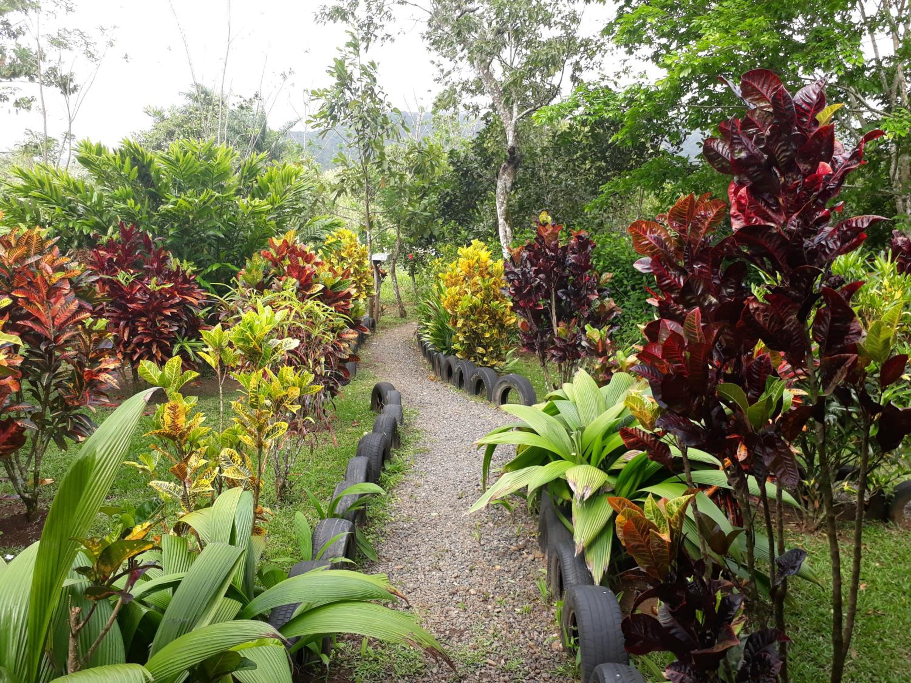Nacientes Lodge