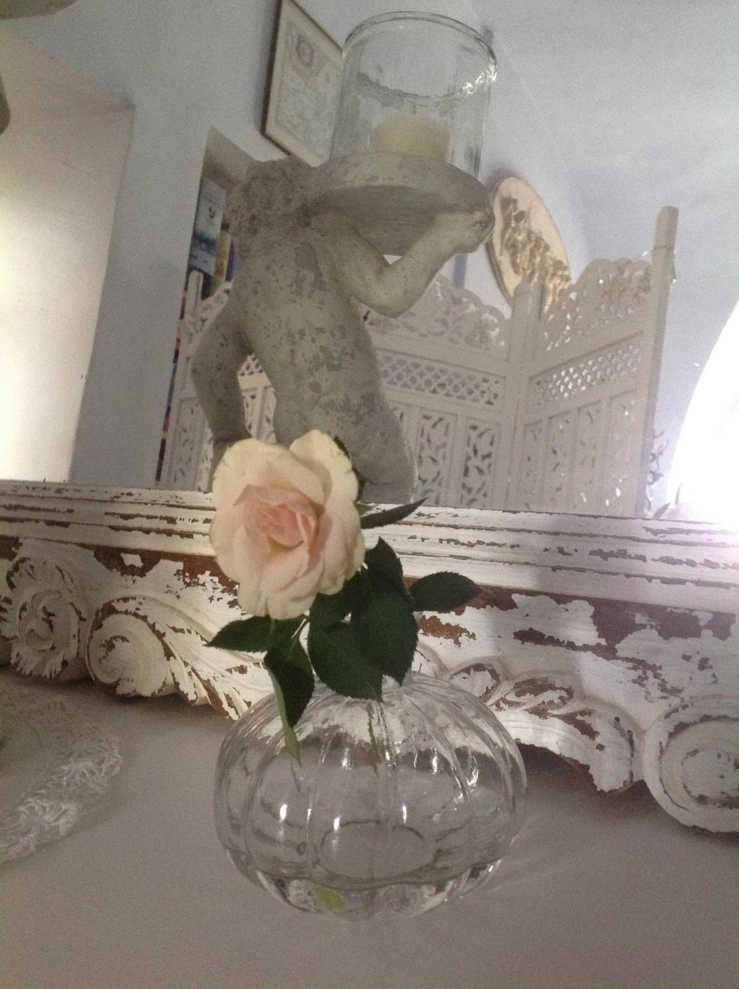 Photo 37