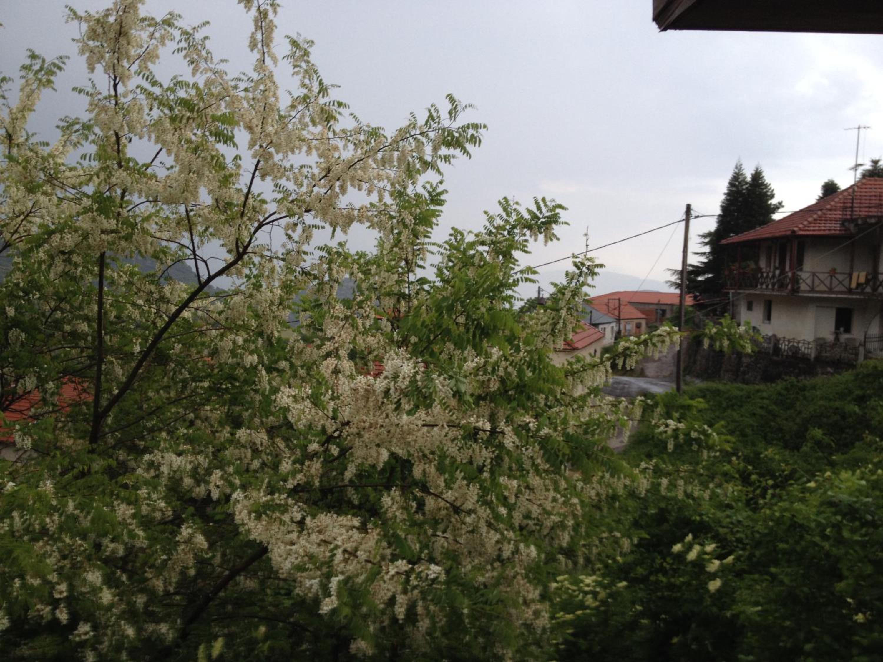 Photo 114