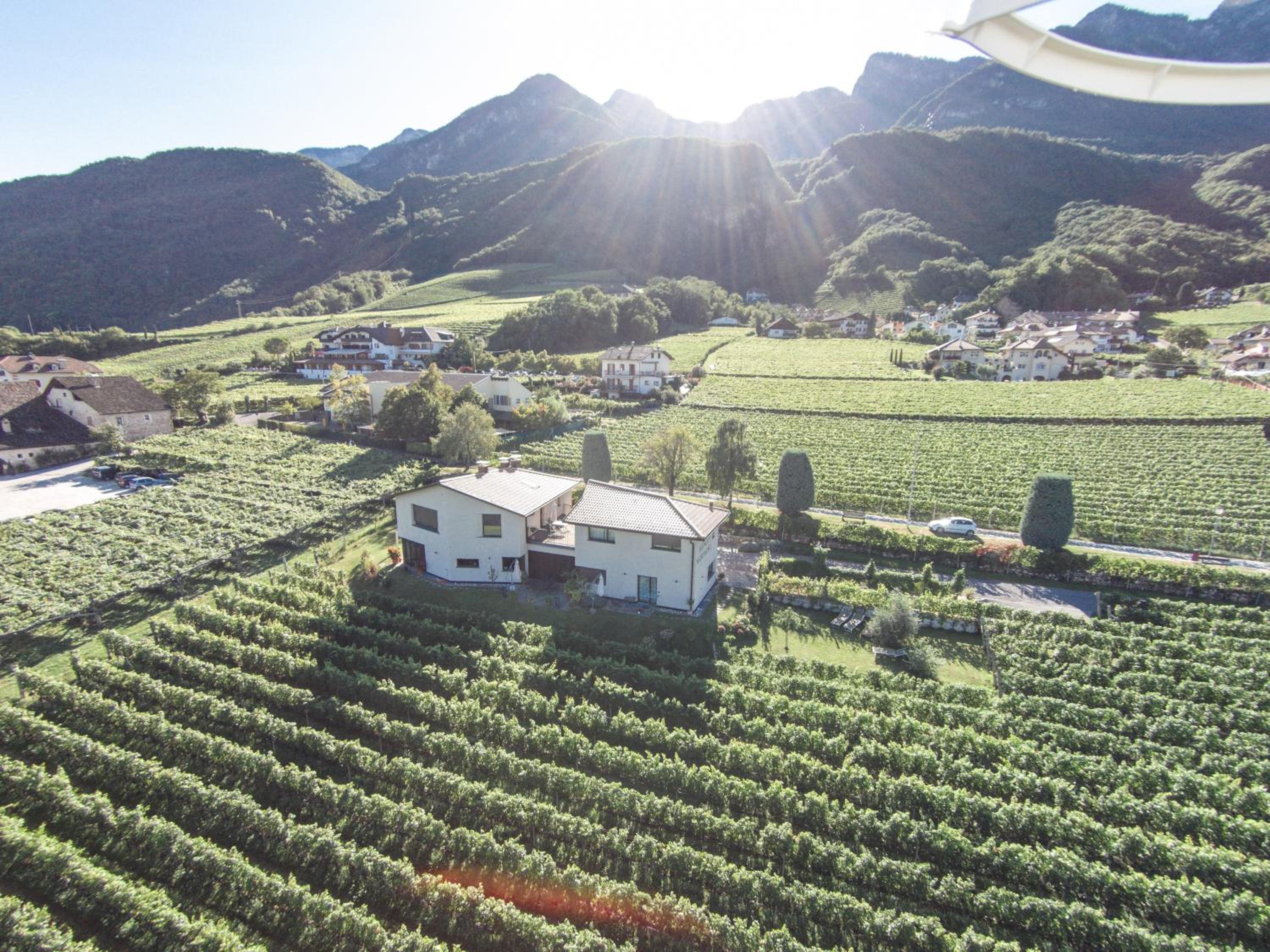 Weingut Morandell view 4