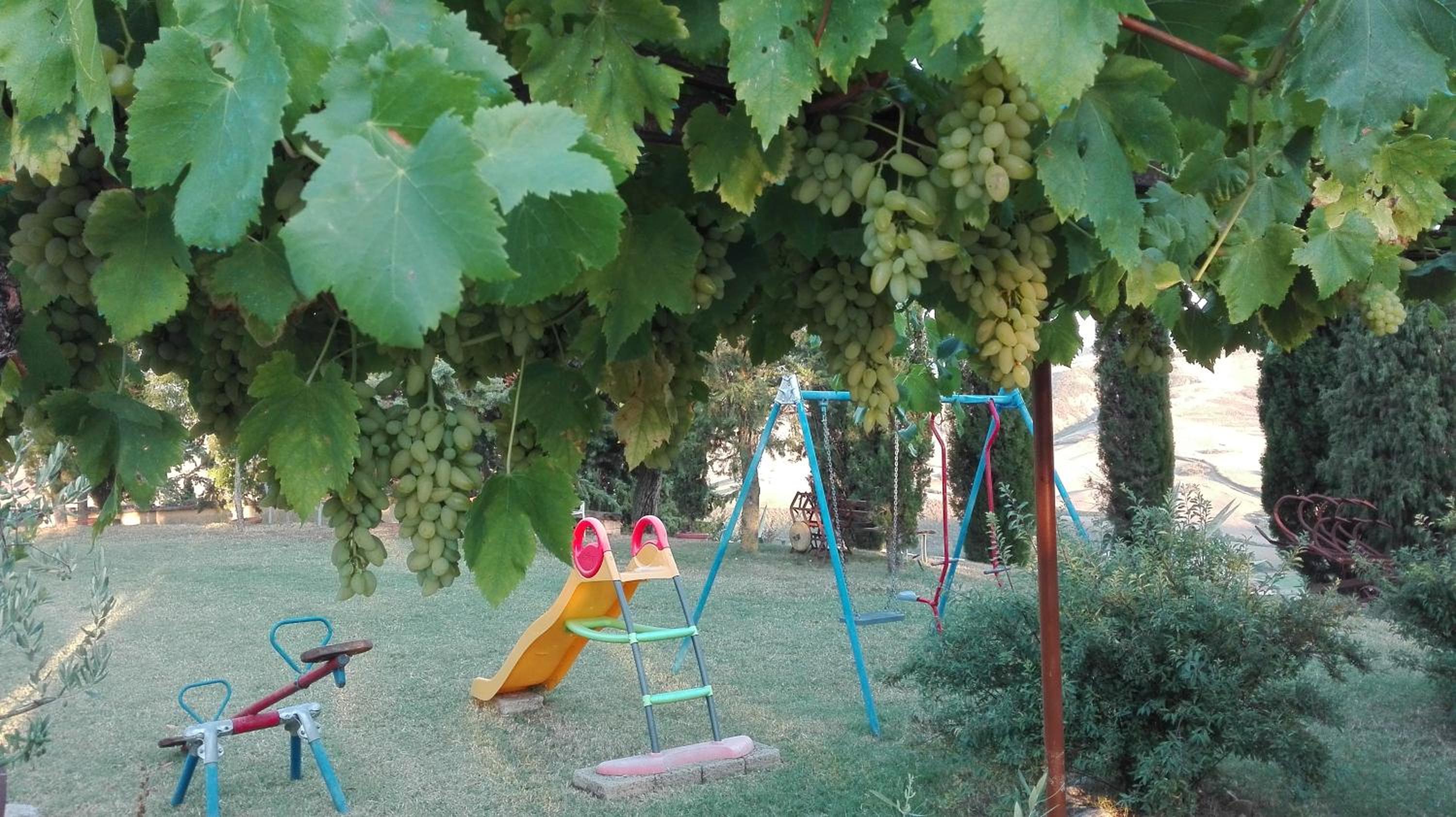 Agriturismo Collomici