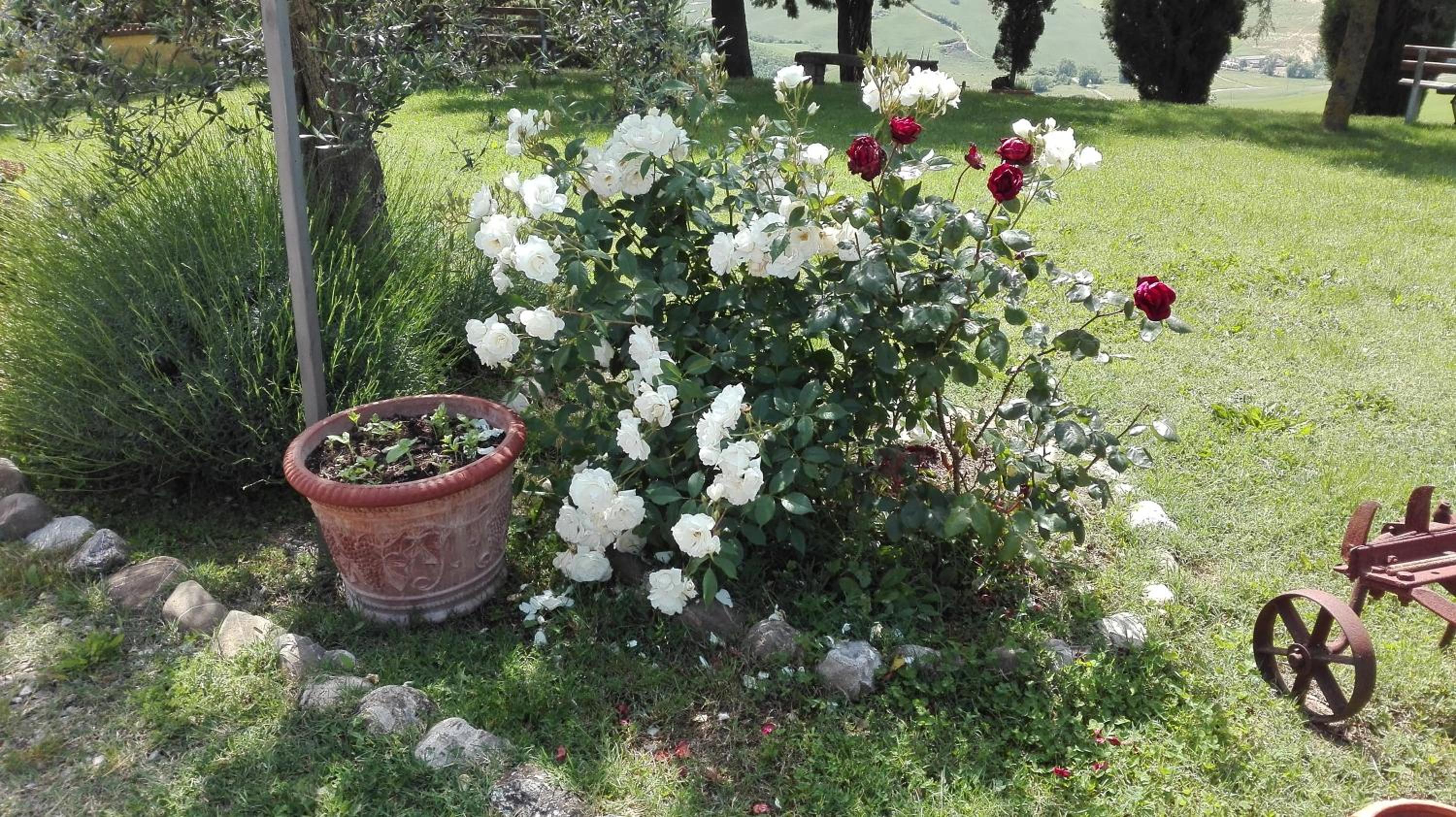 Agriturismo Collomici