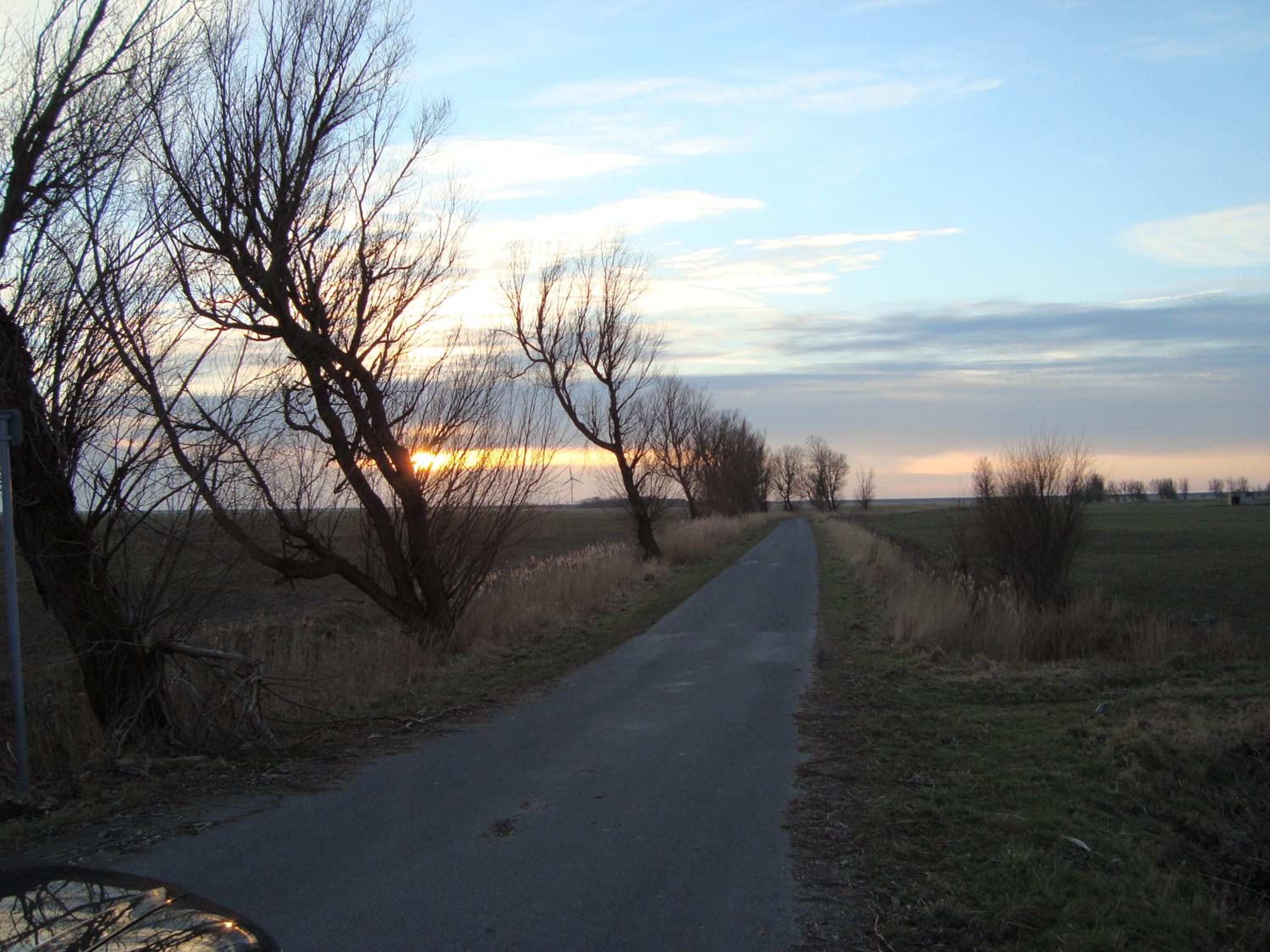 Photo 33