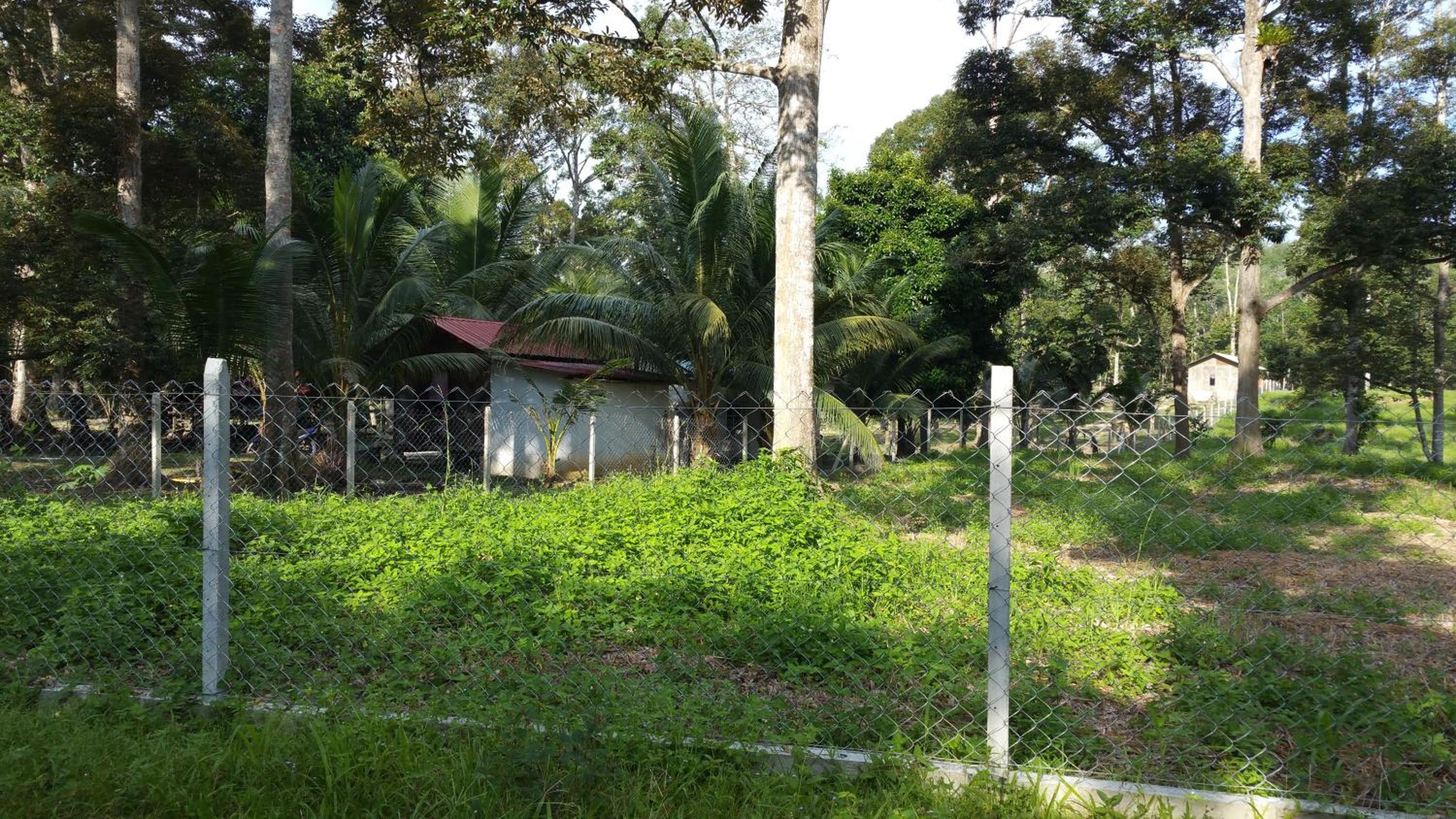 Photo 42