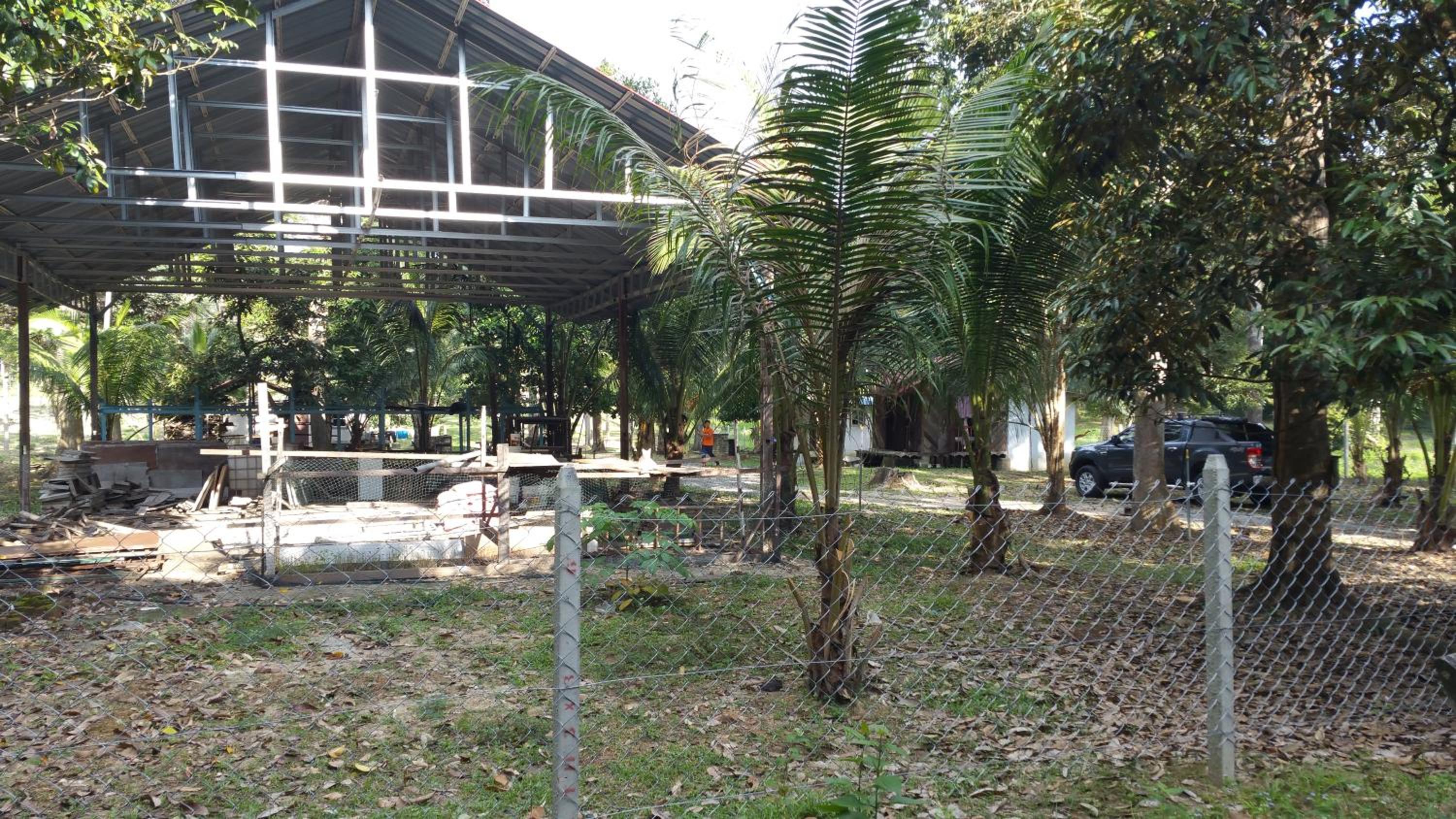 Chalet Kampong Semawar photo 1