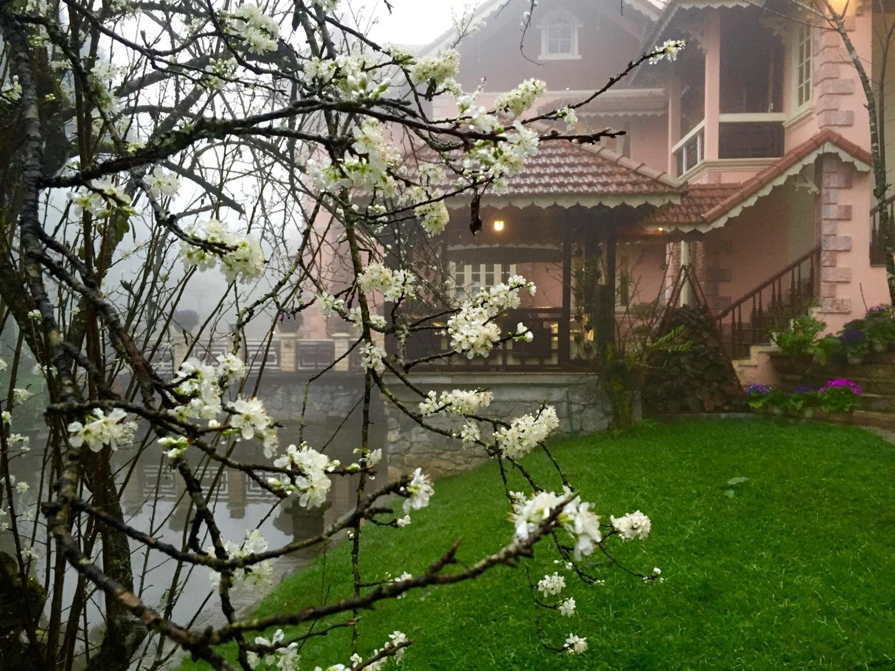 Sapa Garden Bed and Breakfast