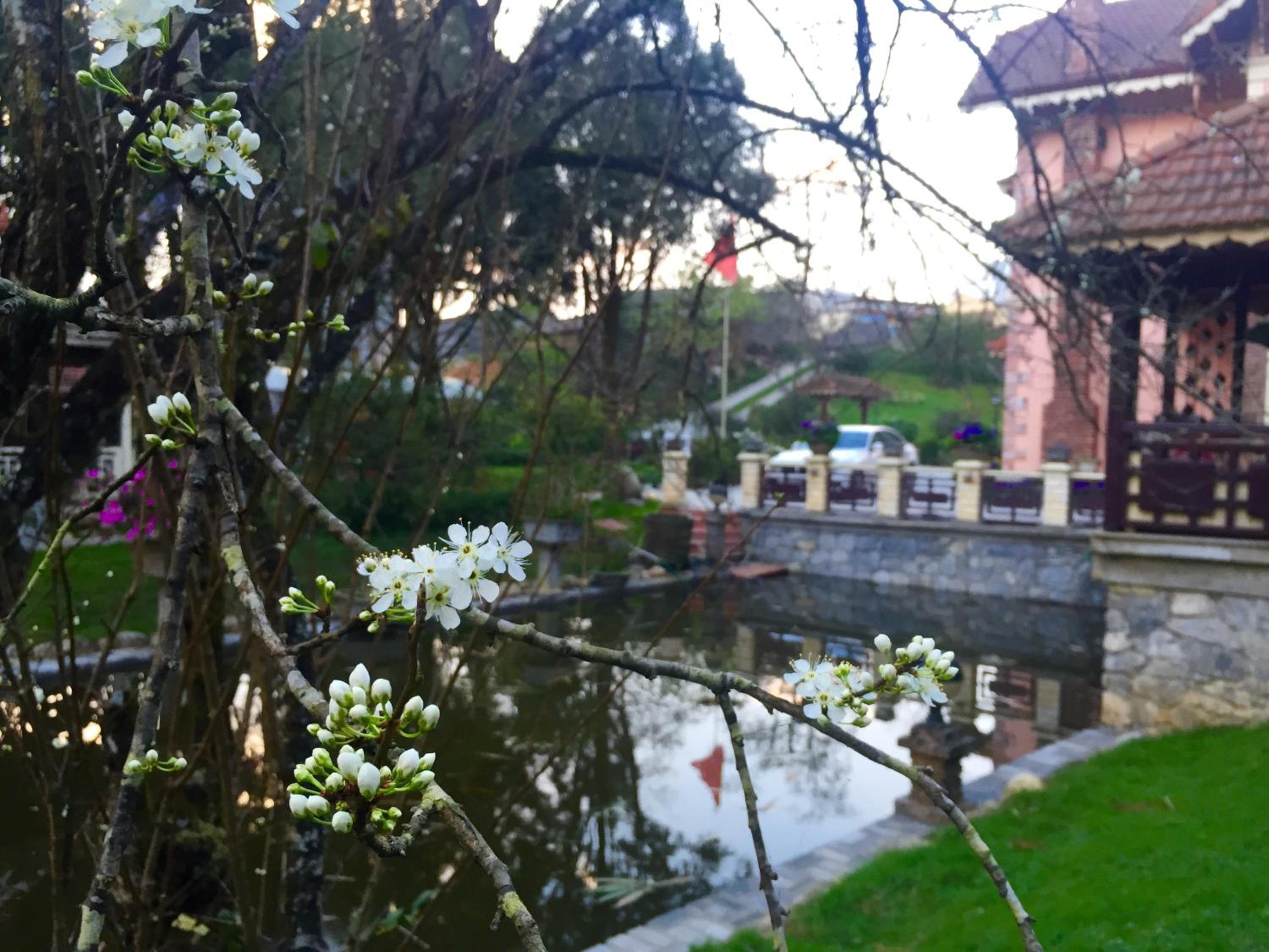 Sapa Garden Bed and Breakfast