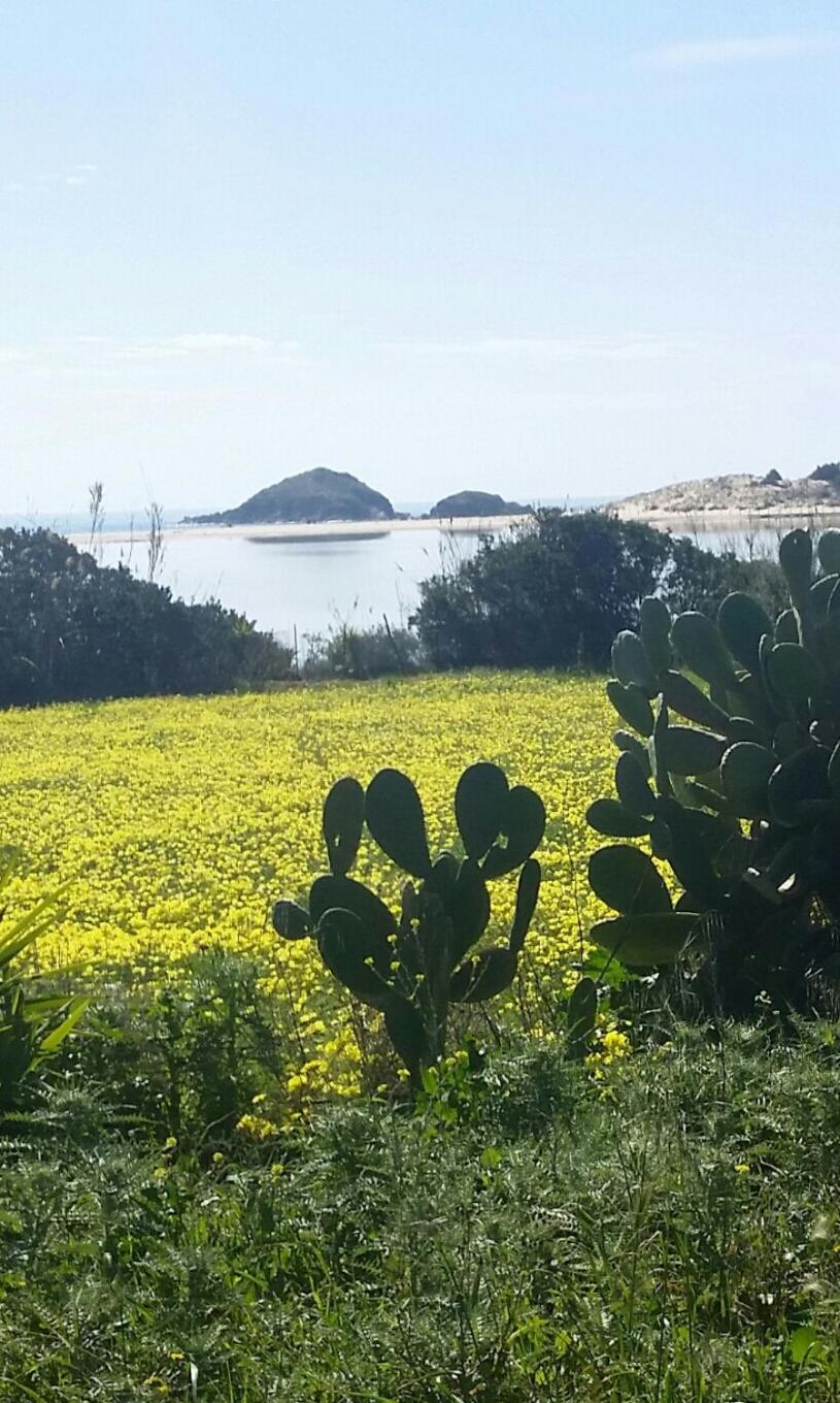 L'Onda Blu
