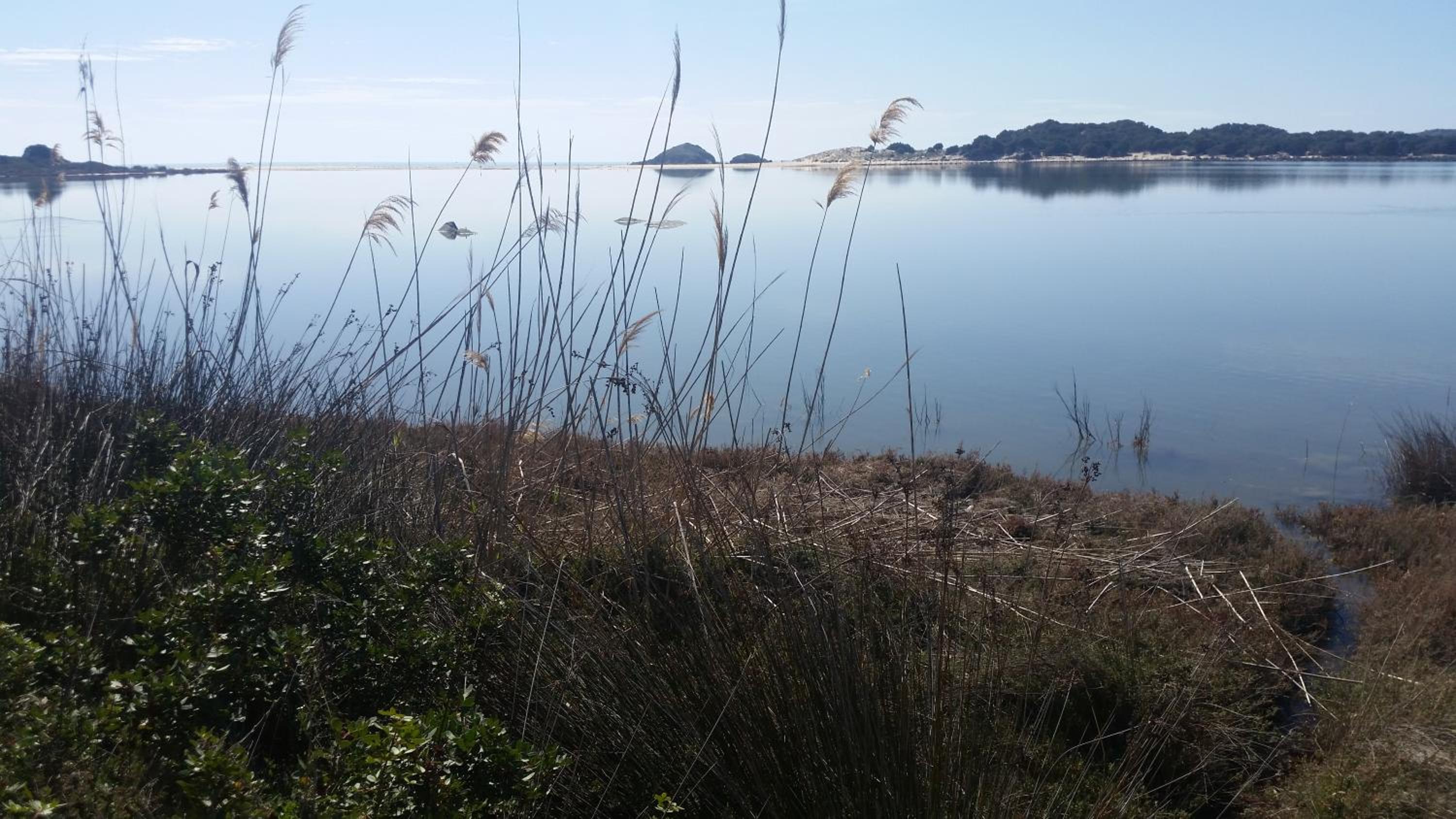 L'Onda Blu