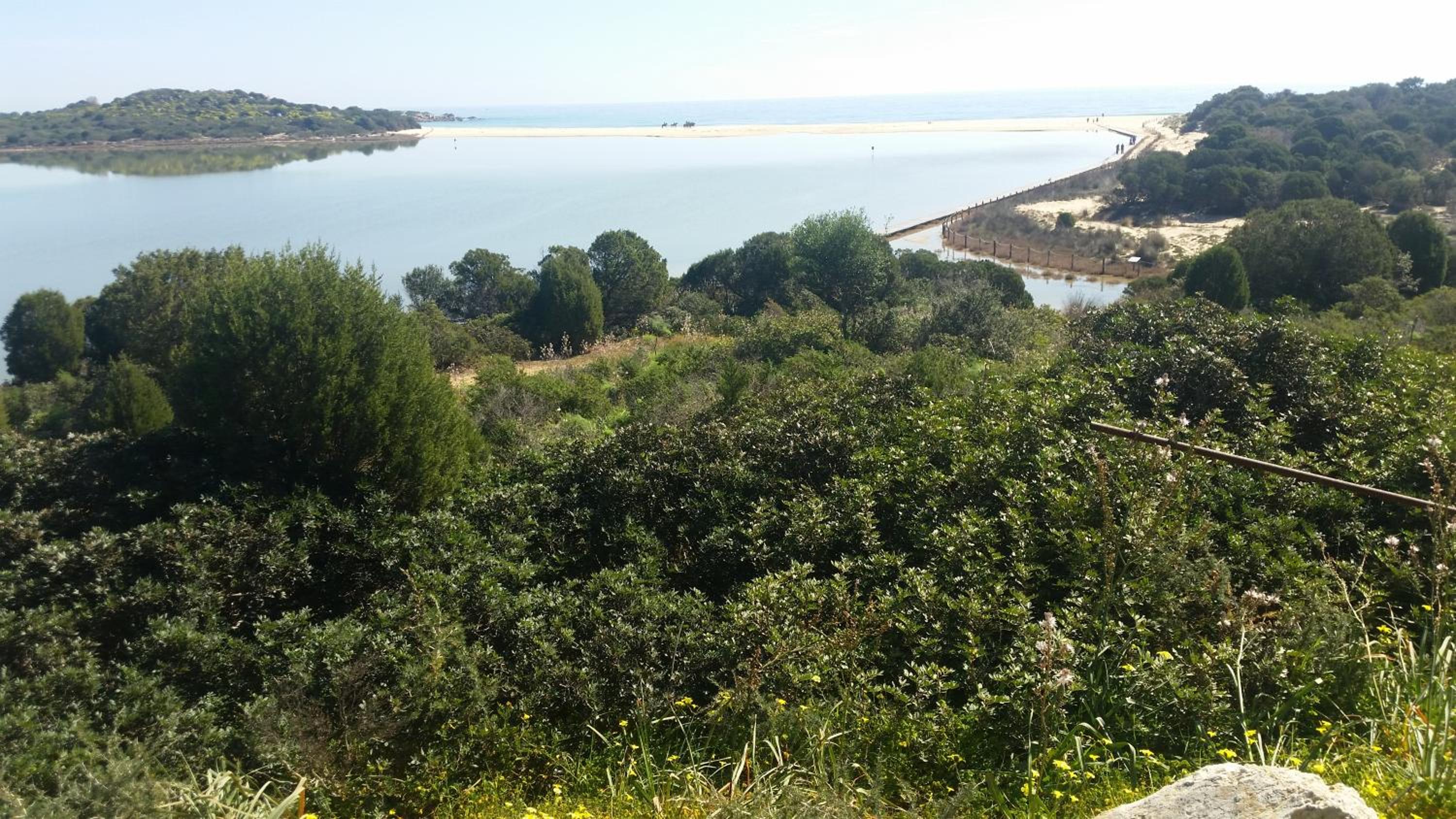 L'Onda Blu