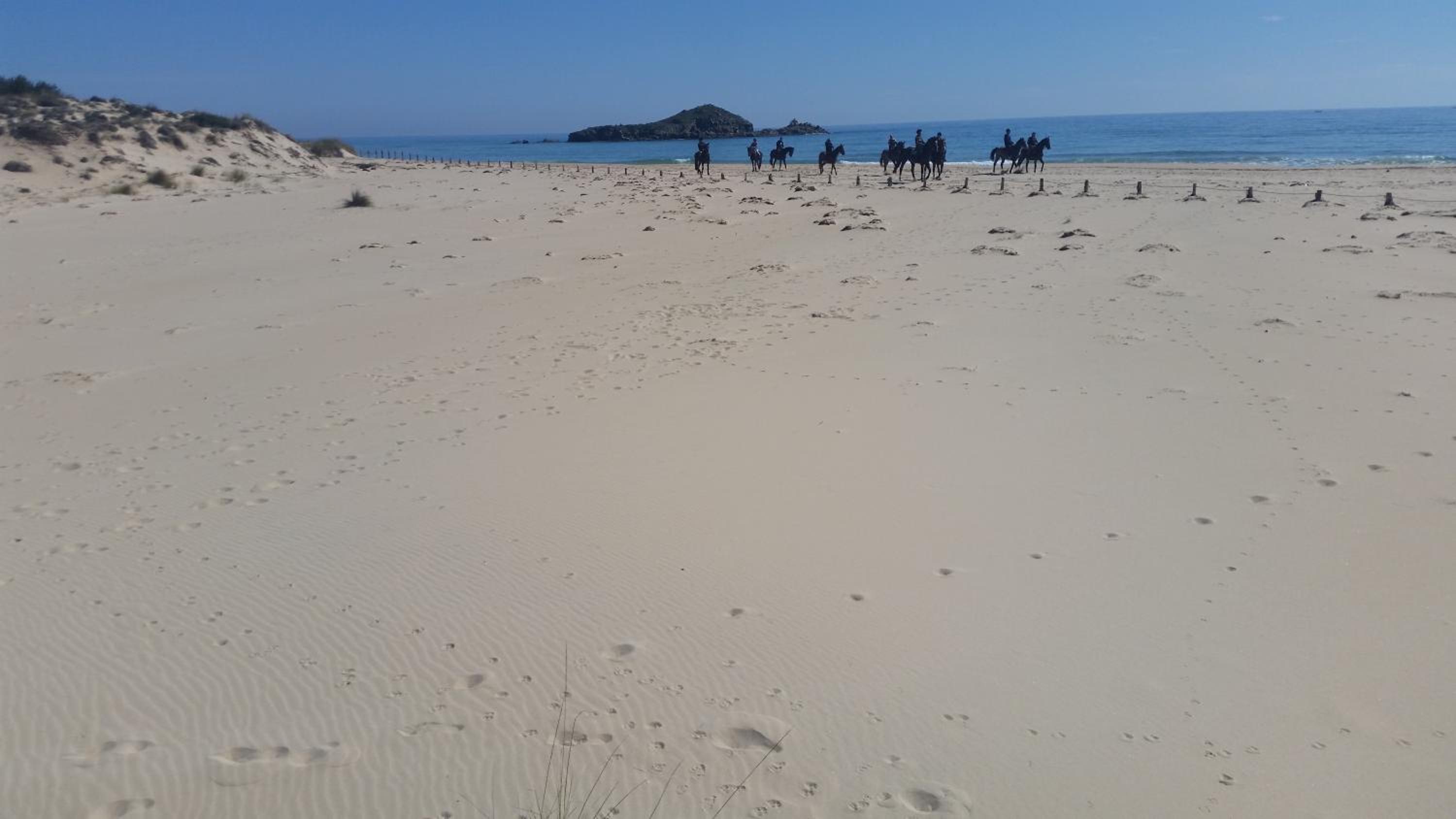 L'Onda Blu