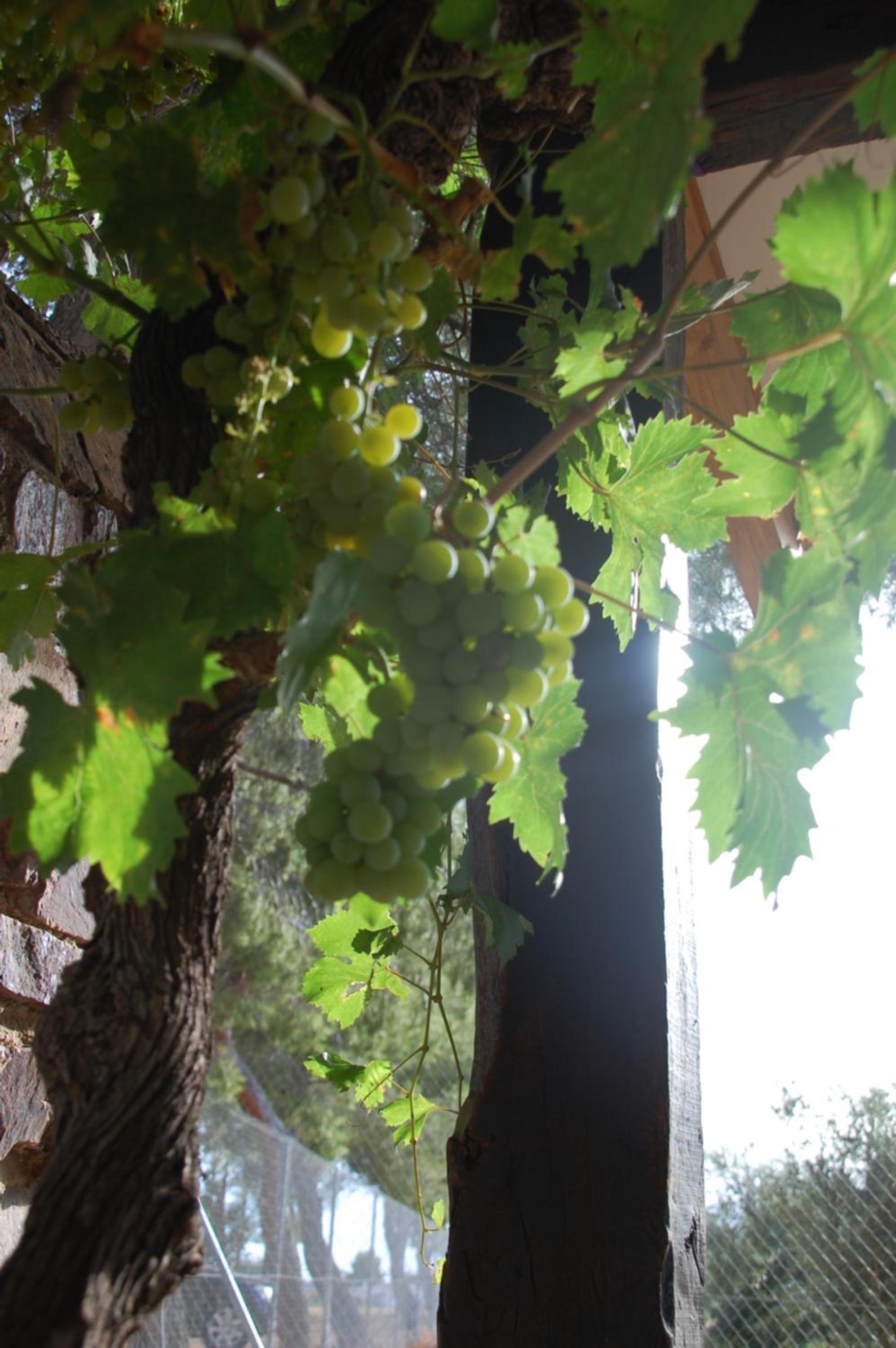 Apartamentos Rurales Las Caleras