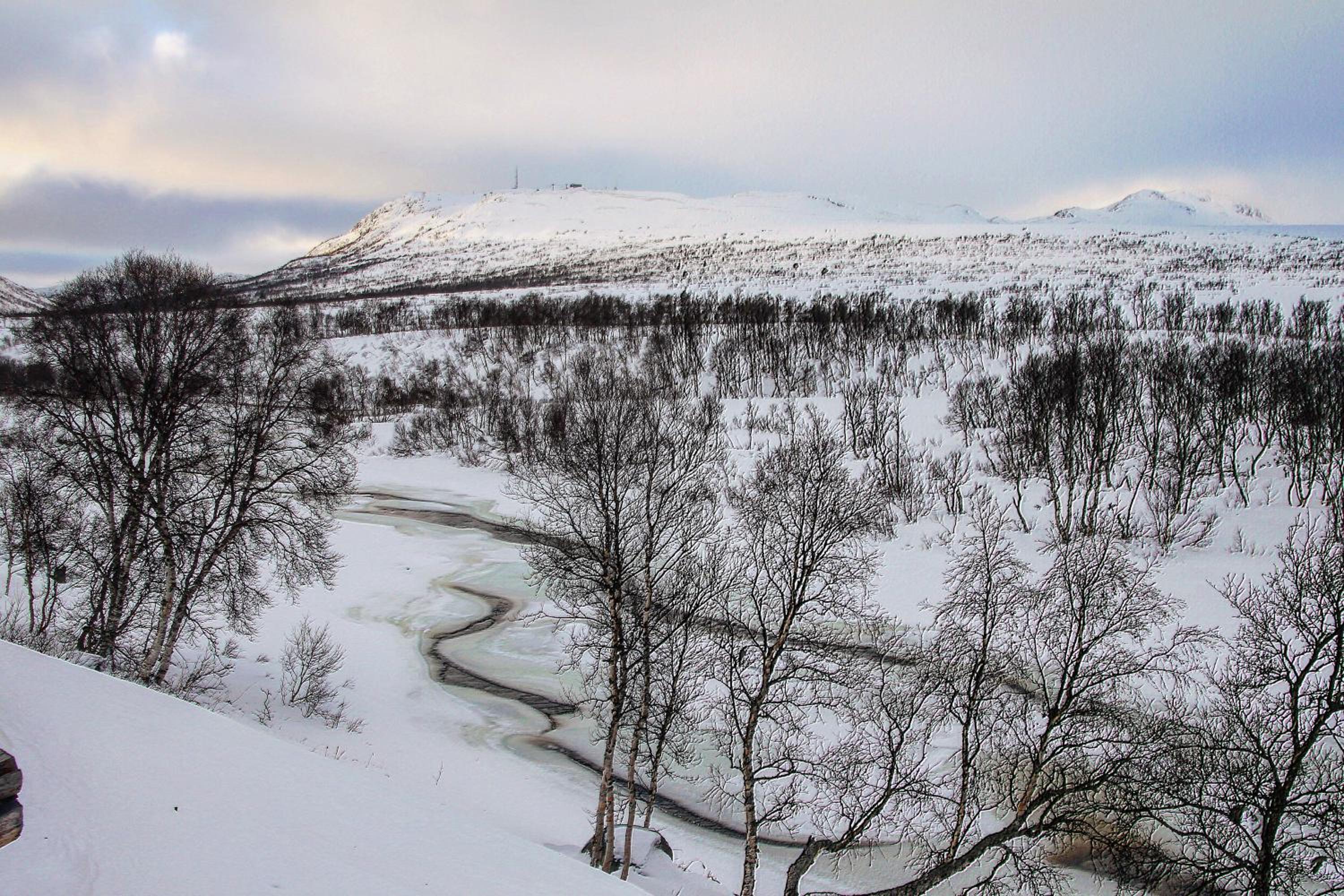Hovden Fjellstoge
