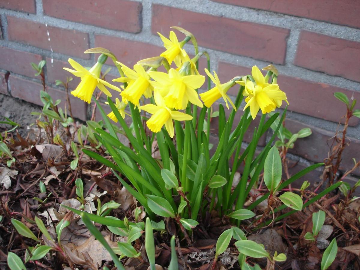 Photo 28