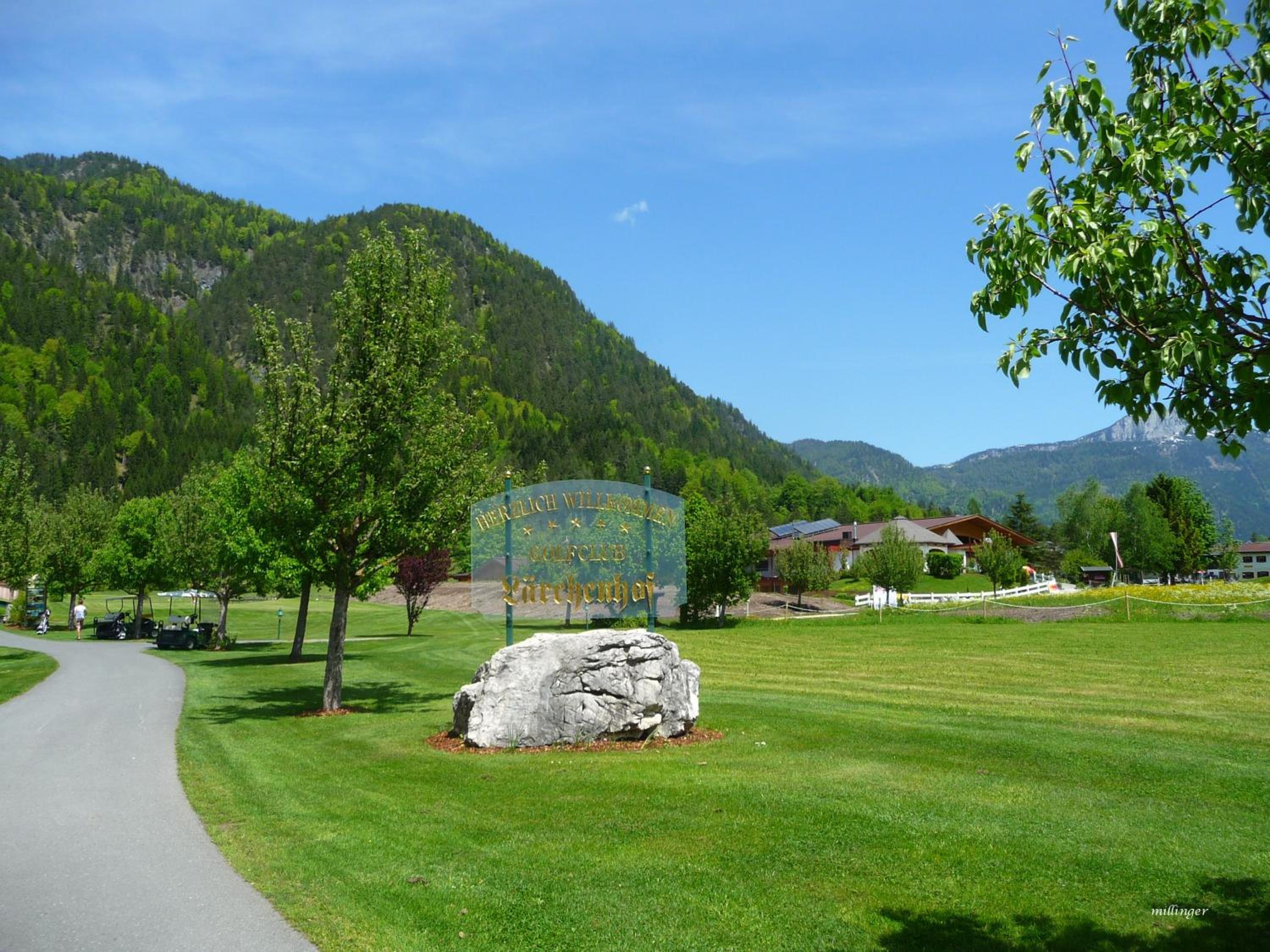 Photo 45