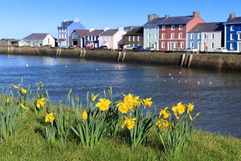Plas Y Dderwen Bed and Breakfast