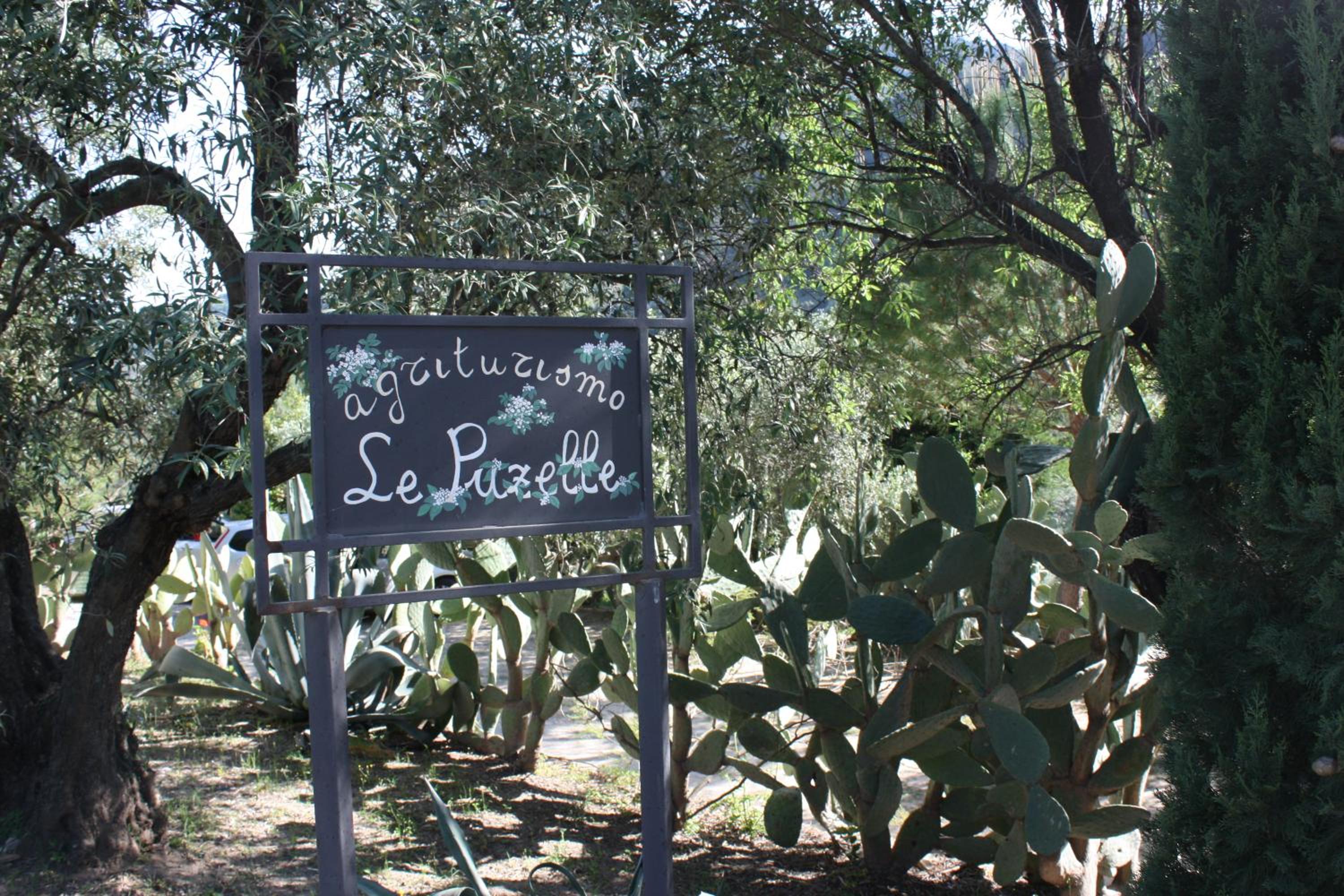Azienda Agrituristica Le Puzelle
