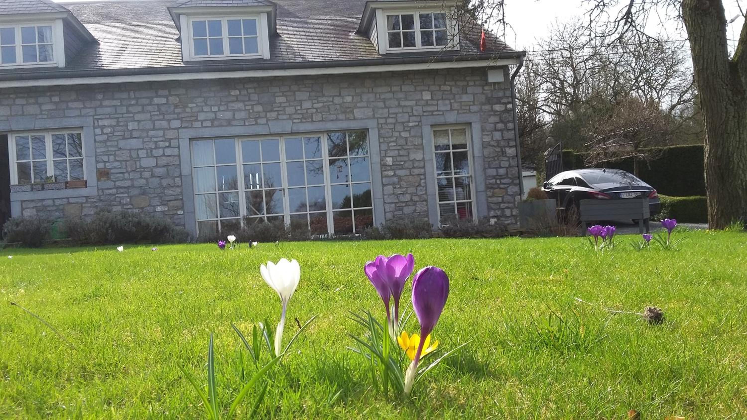 B&B La Buissonniere