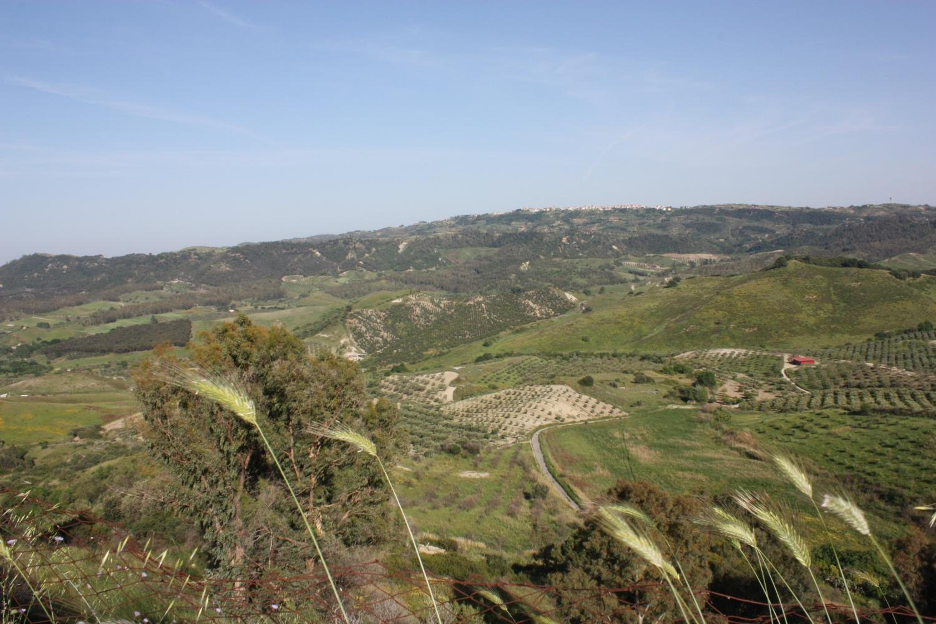Azienda Agrituristica Le Puzelle