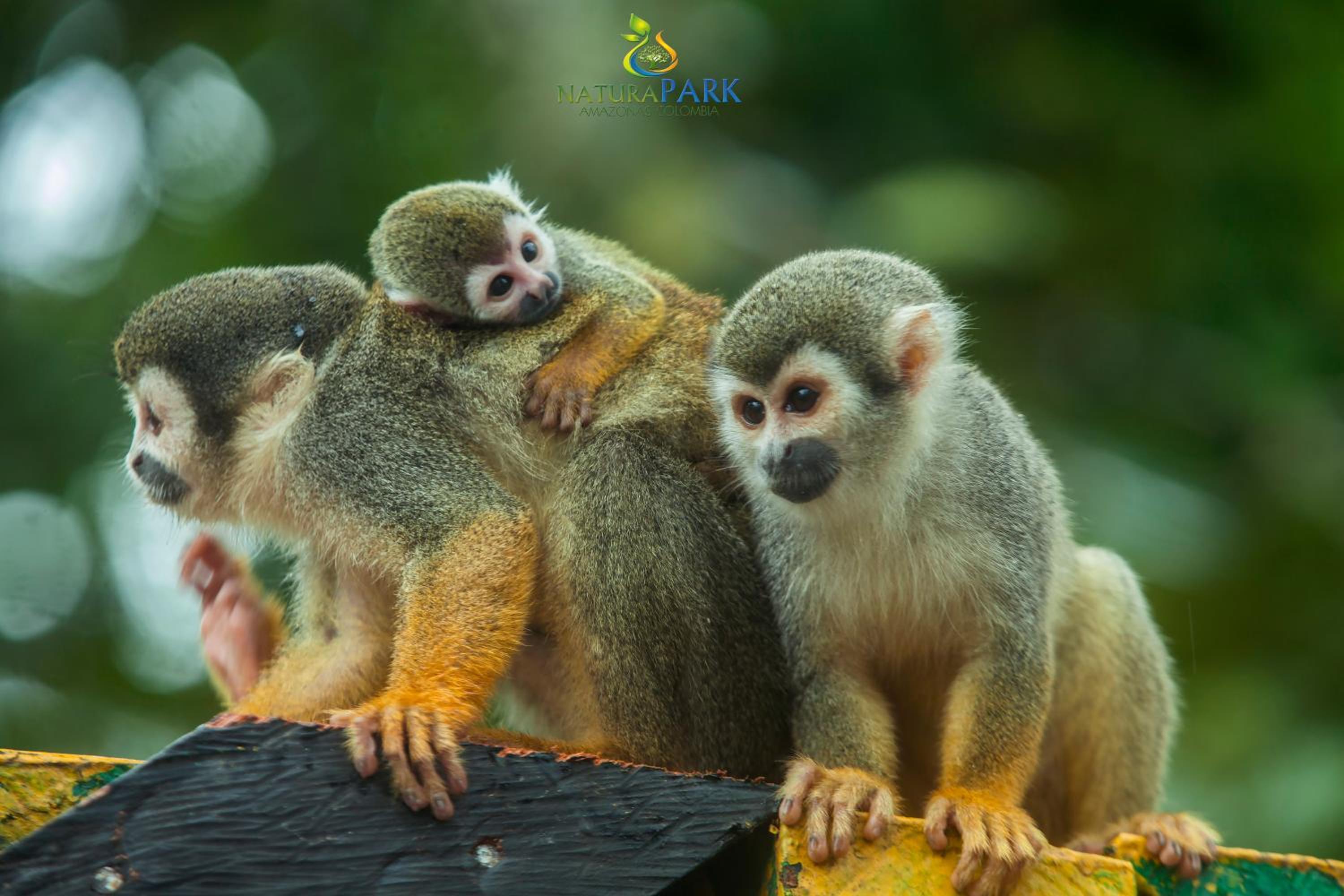 Reserva Natural Natura Park