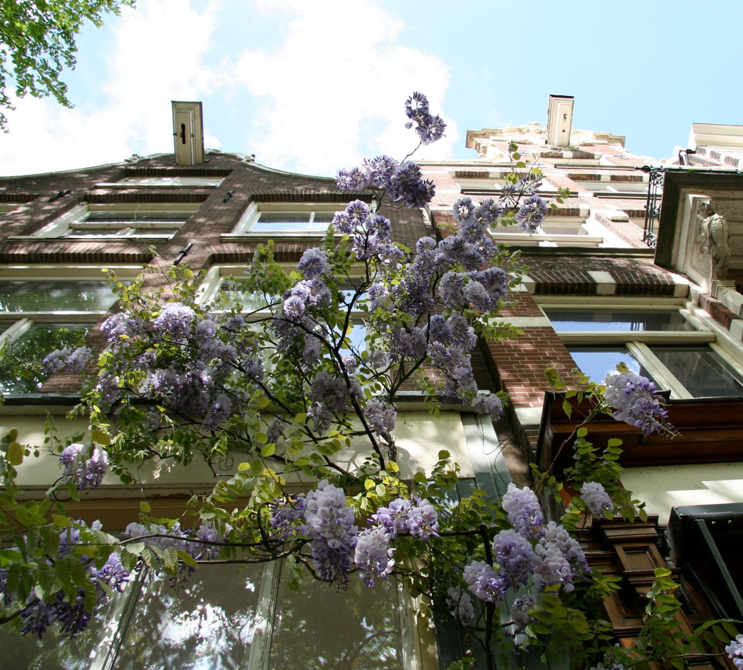 Casa Luna photo 3