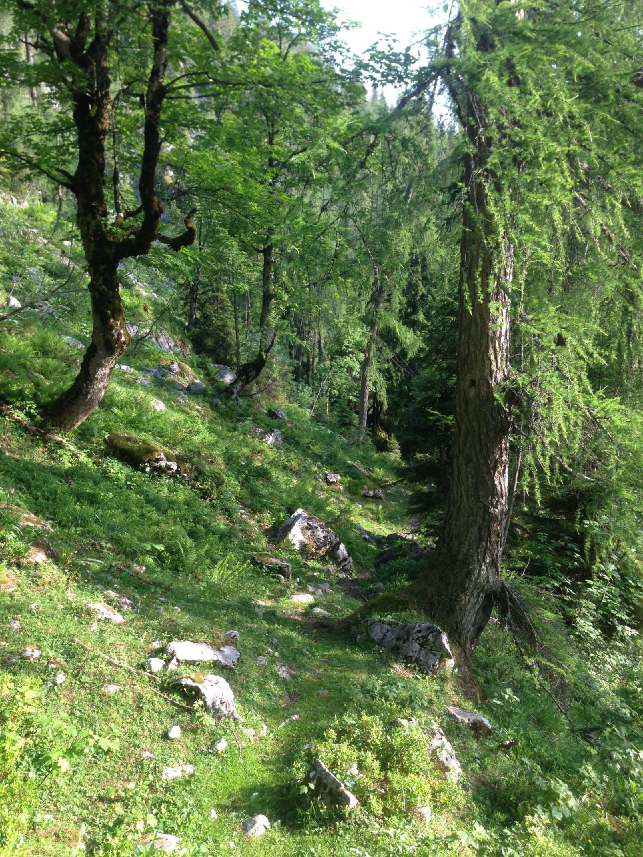 Photo 26