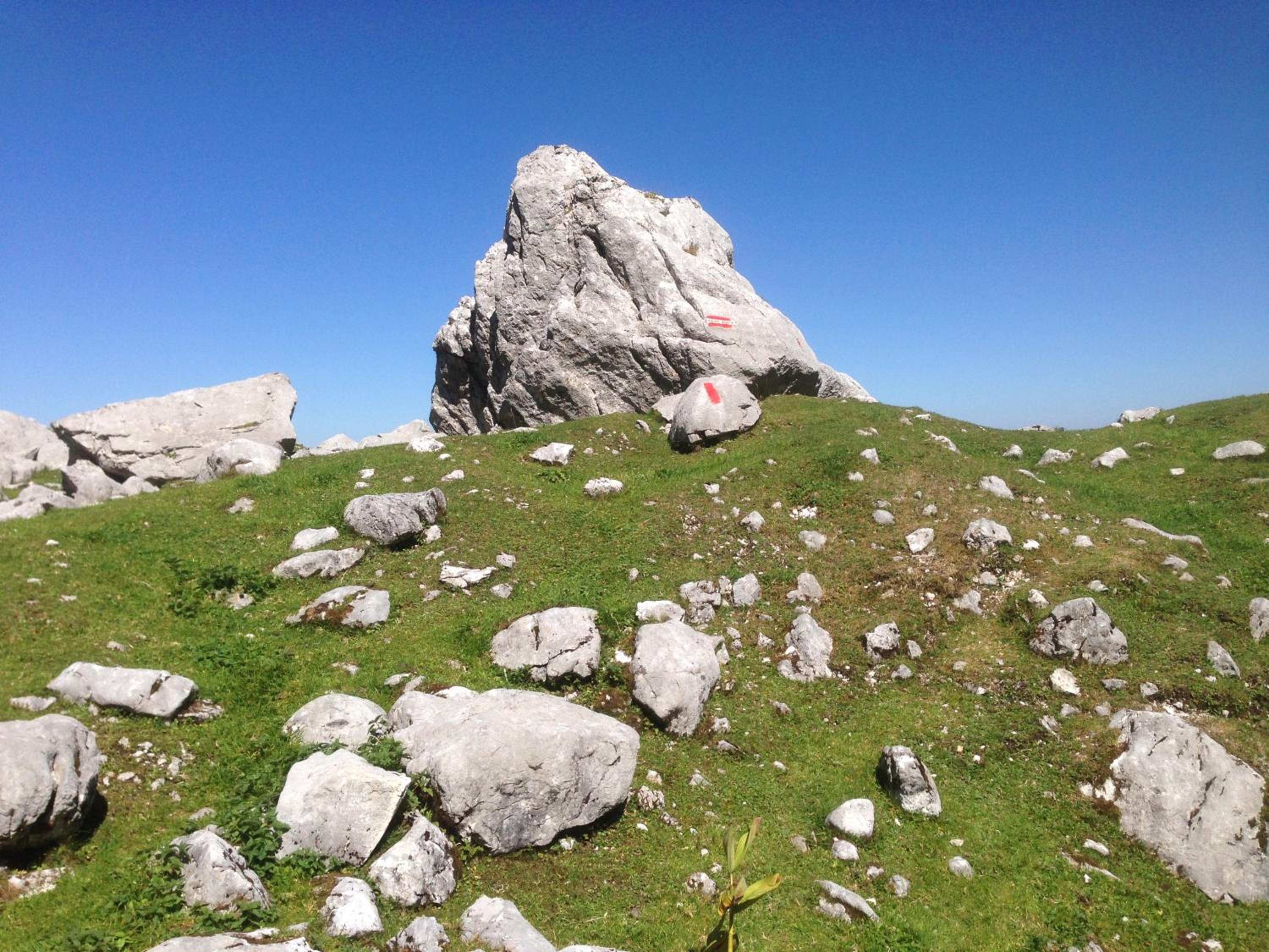 Photo 25