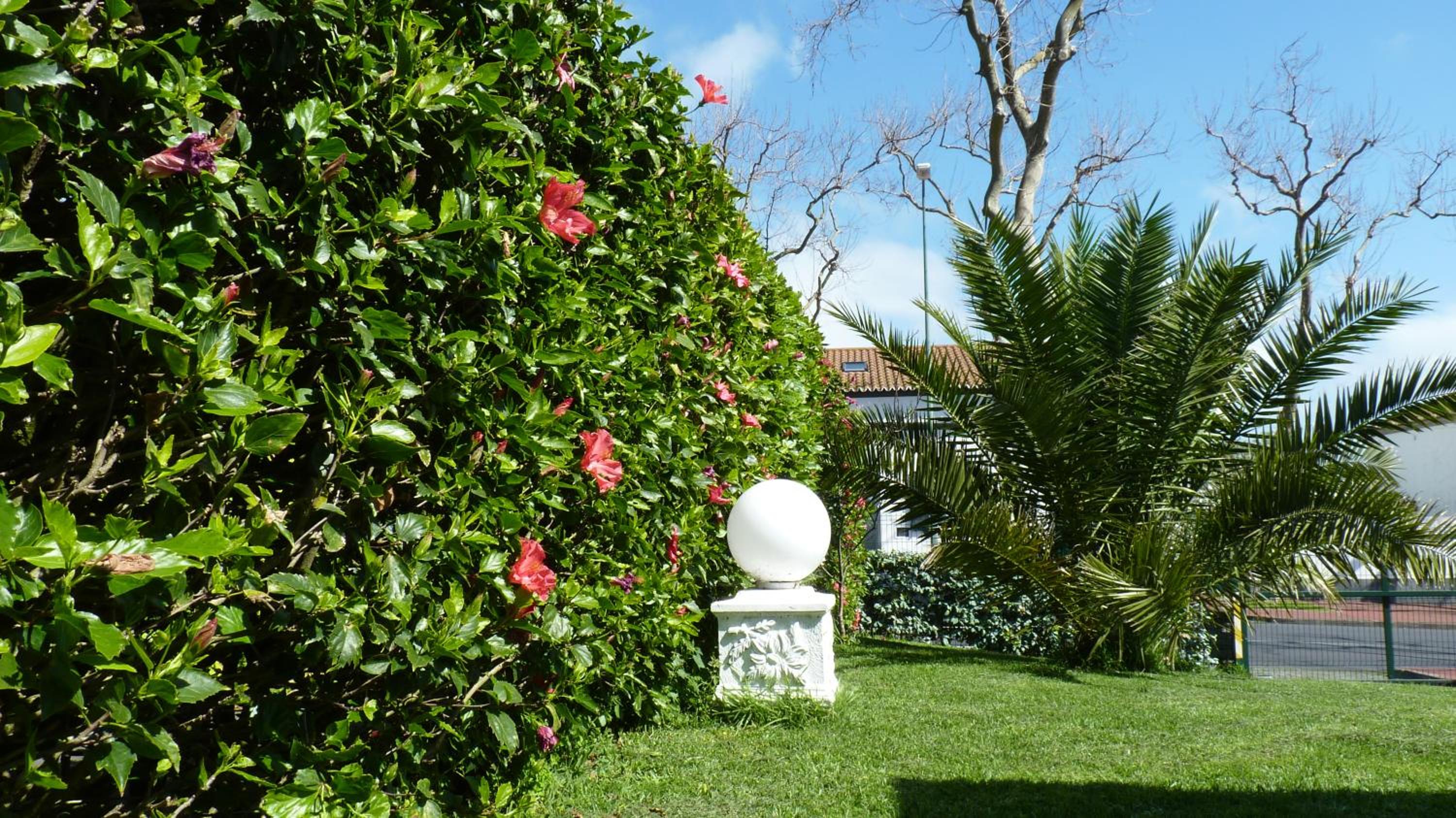 AZORES GARDEN HOUSE - Private Suites & Apartments - Automatic Self Check-in