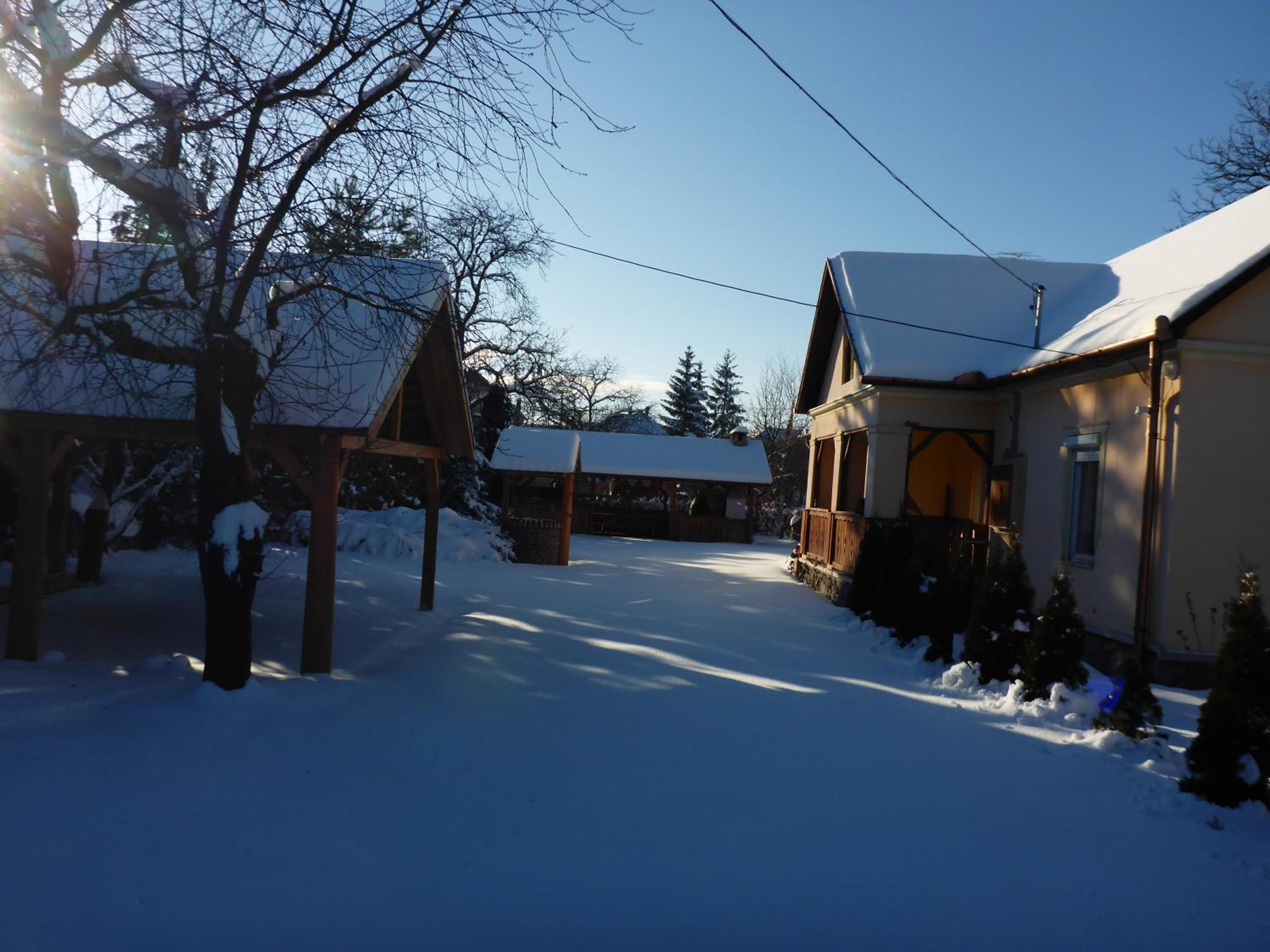 Photo 23