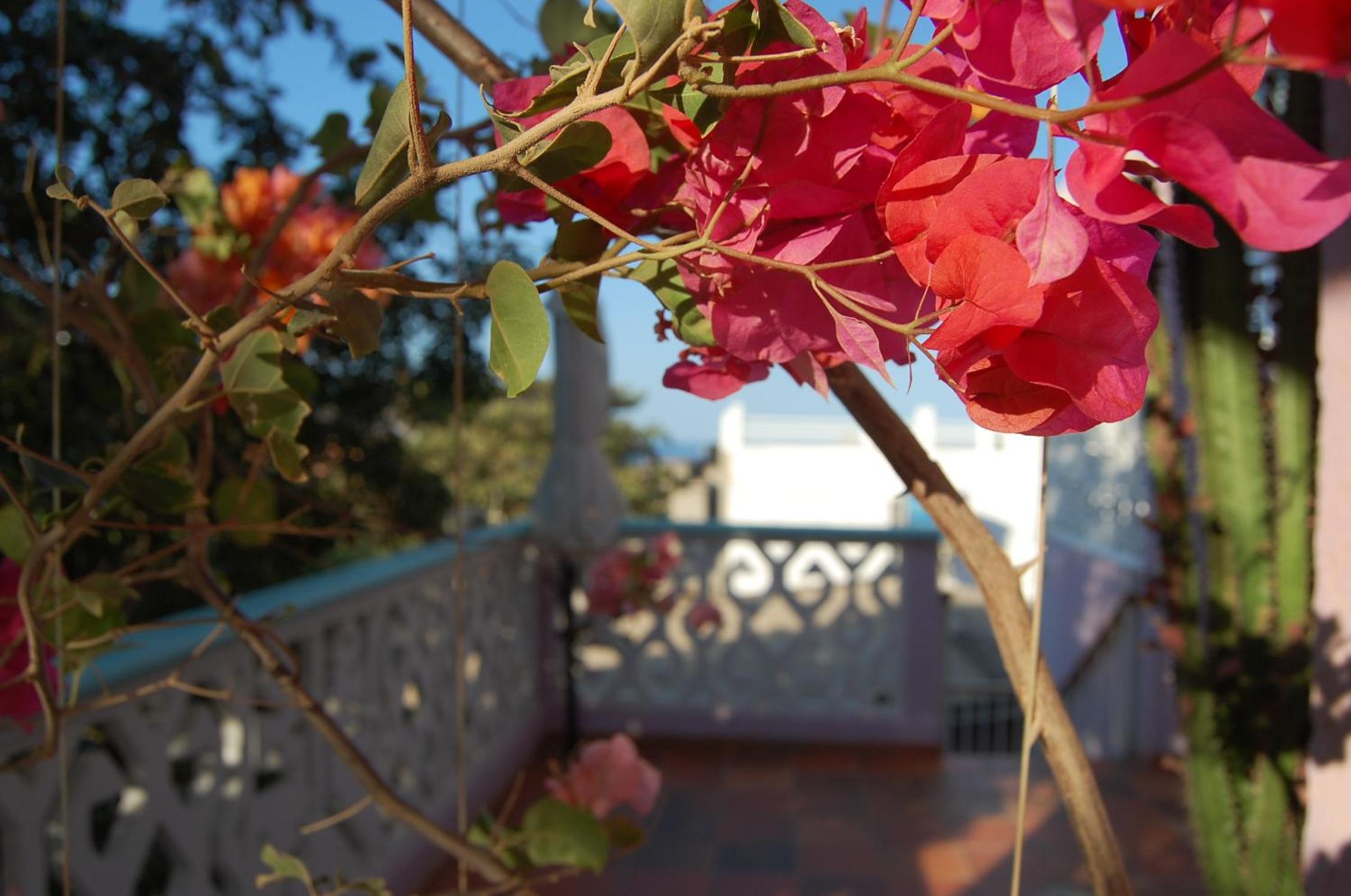 Casa Bella Mya