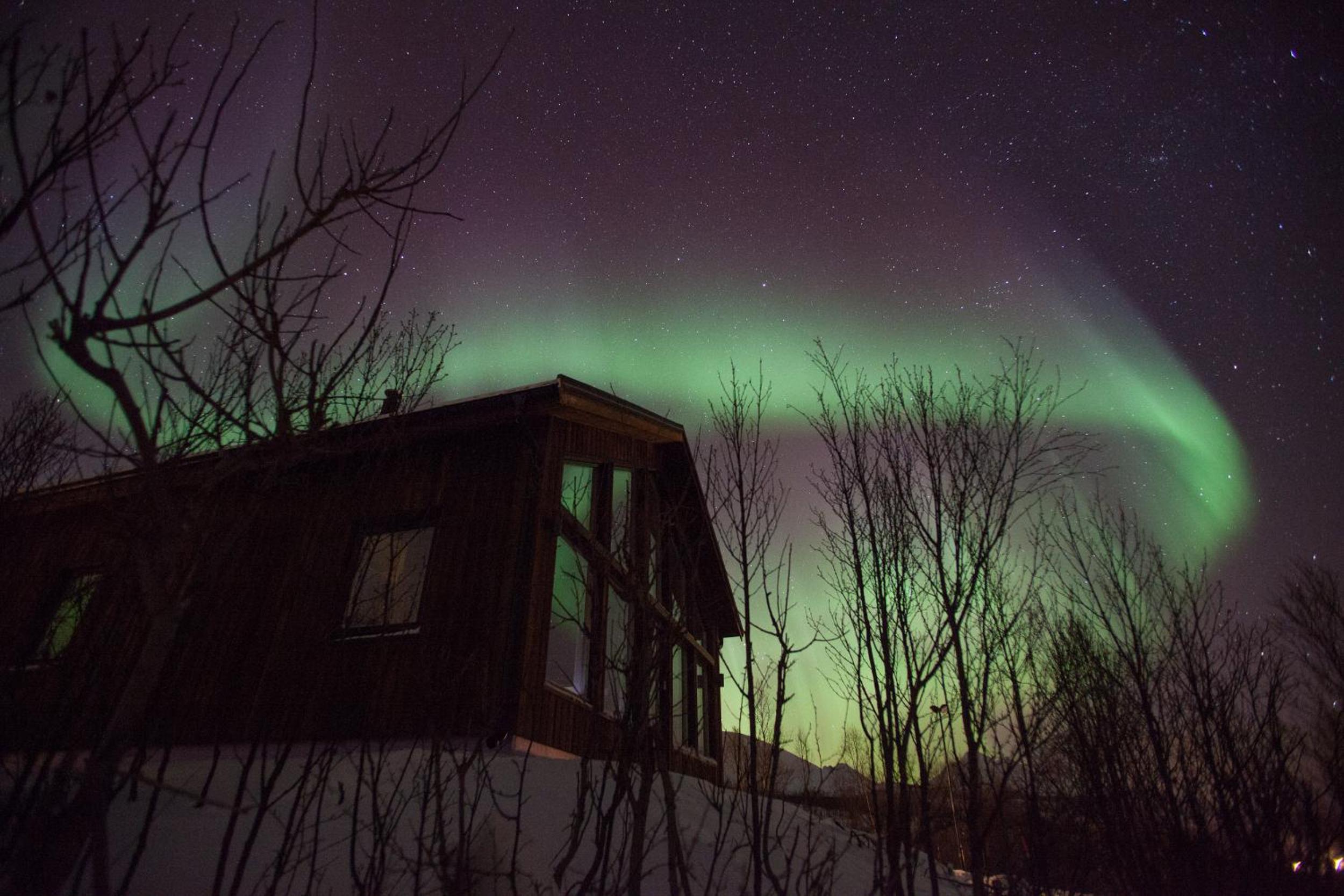 Aurora View Cabin