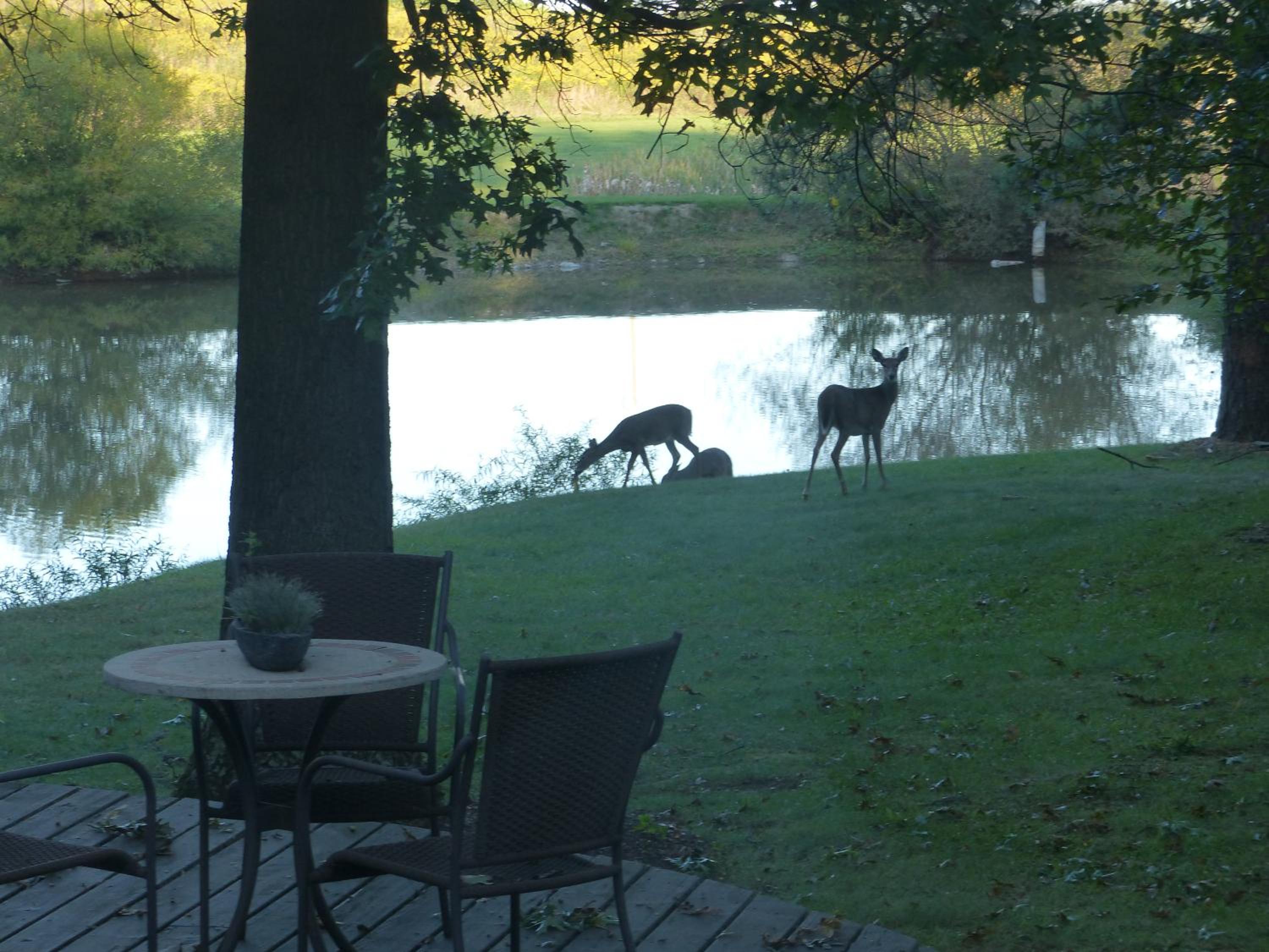 The Inn at White Oak view 5