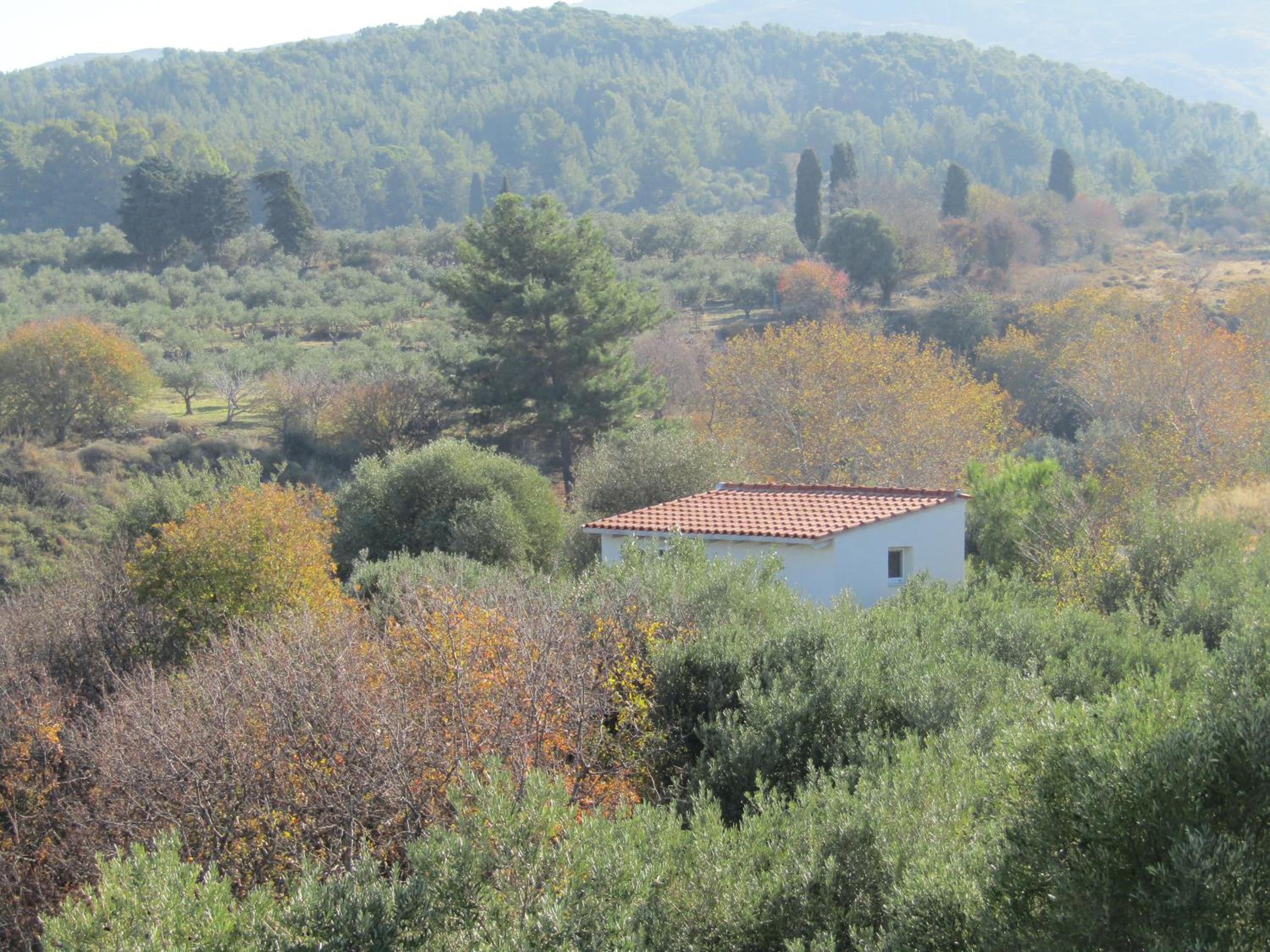 Asklipion Valley guest house photo 3