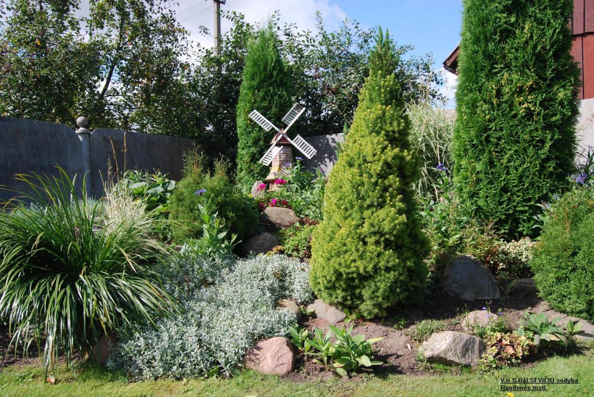 Photo 17