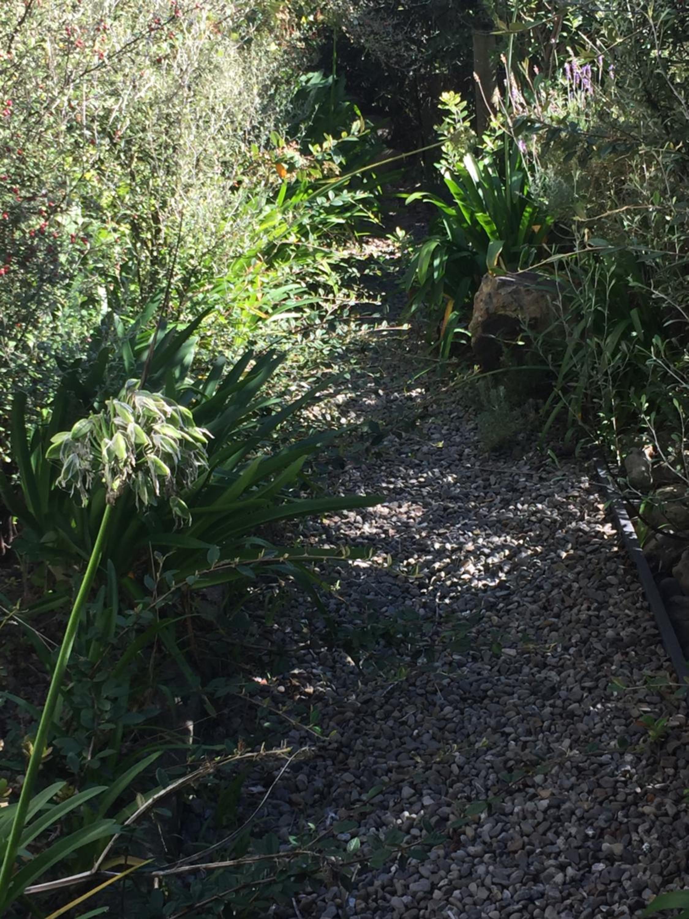 Photo 22