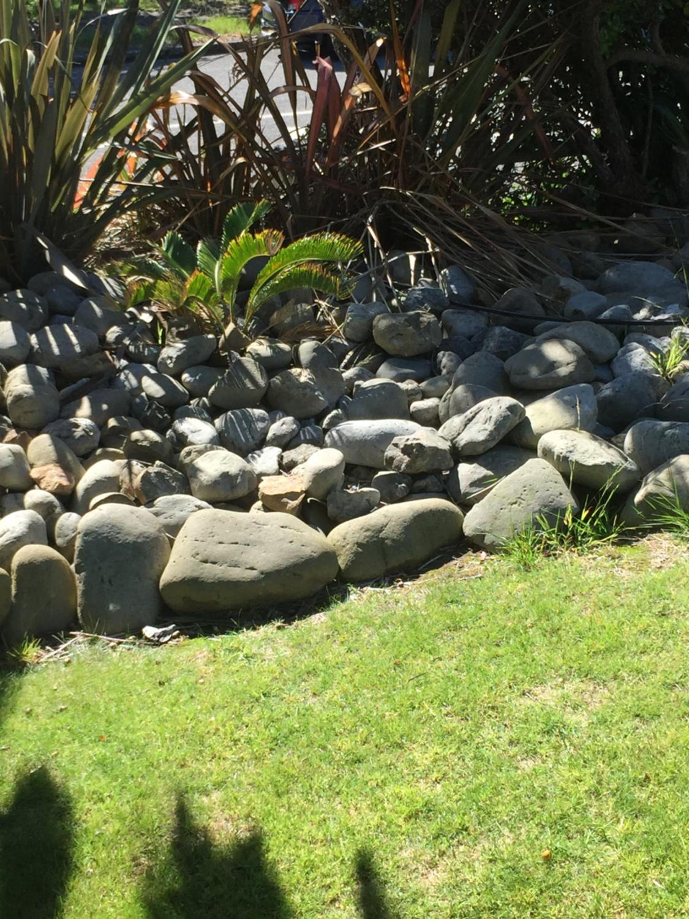 Photo 20