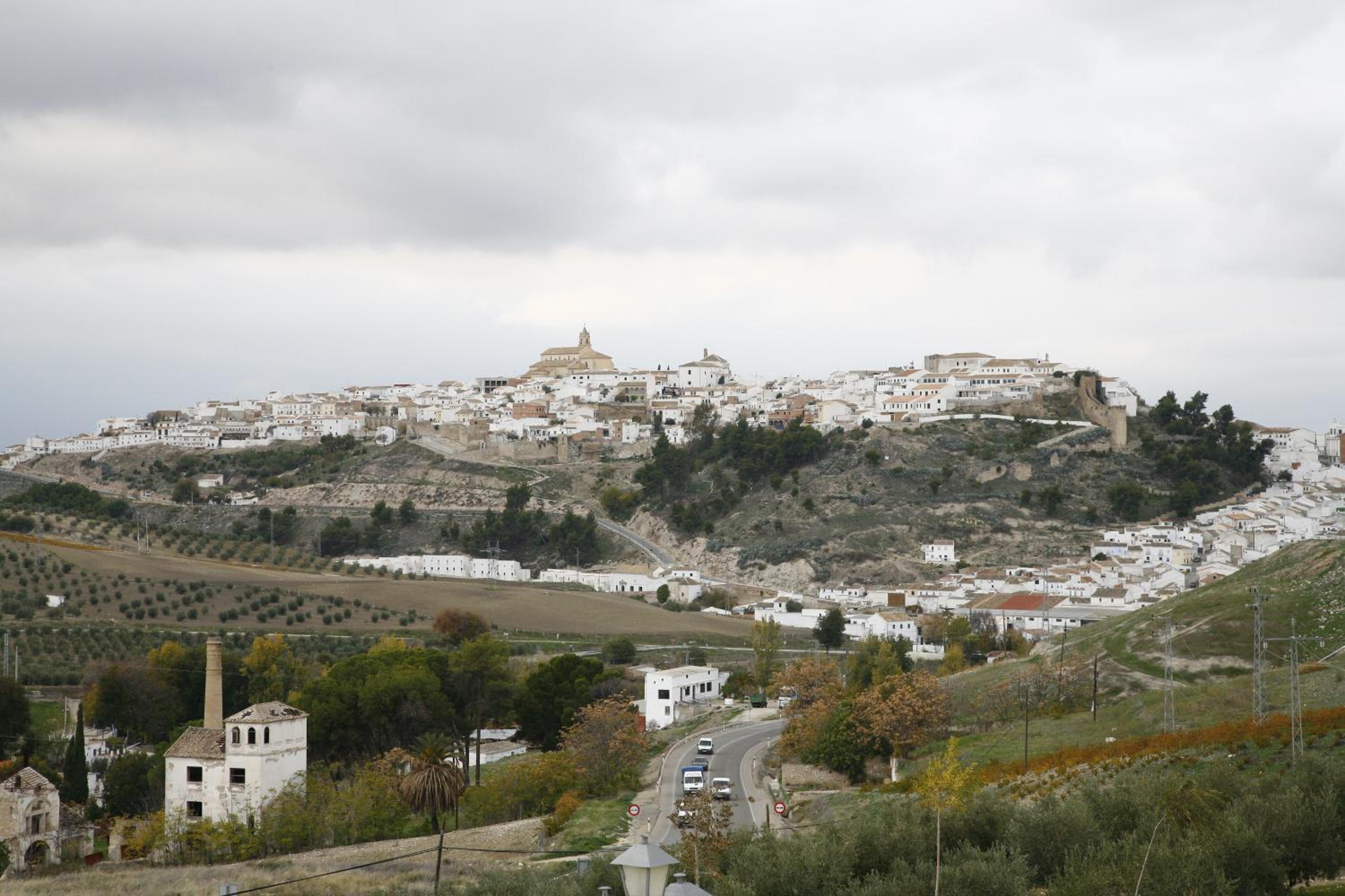 Photo 45