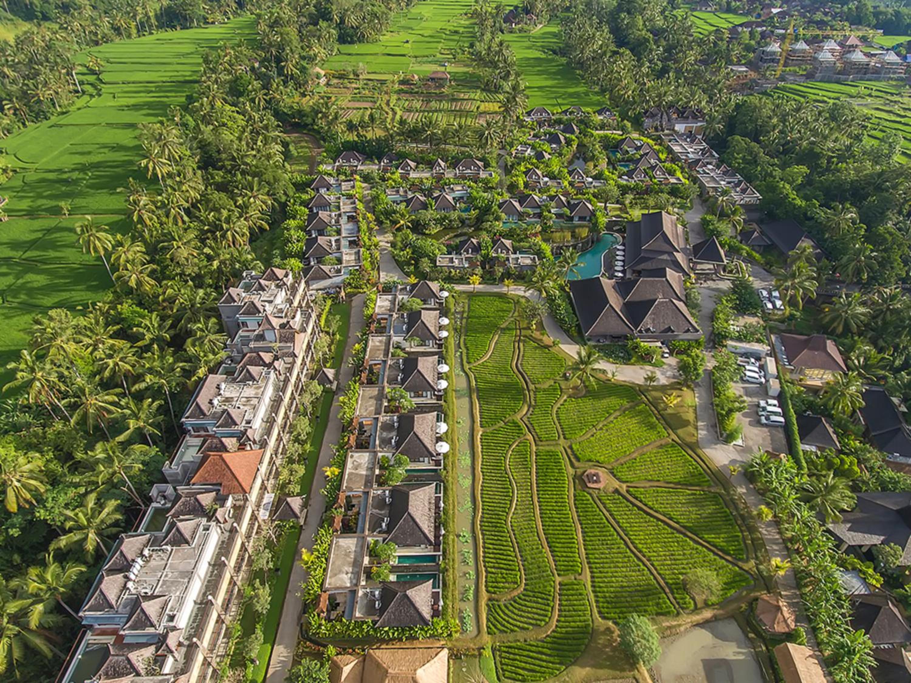 Visesa Ubud Villa and Resort