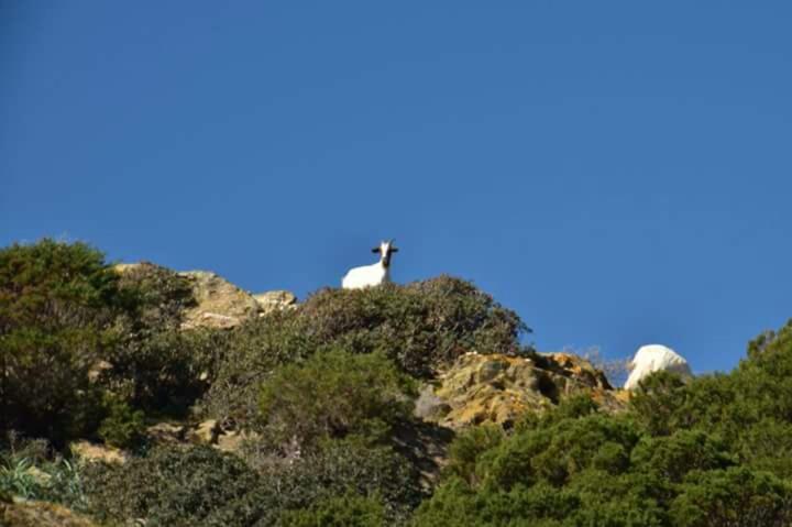 L'Onda Blu