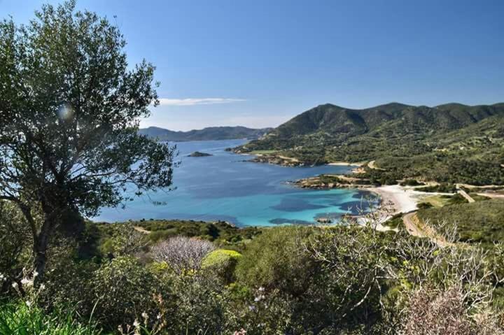 L'Onda Blu