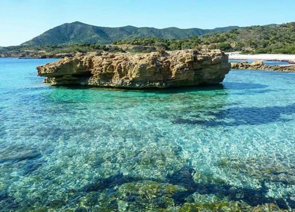 L'Onda Blu