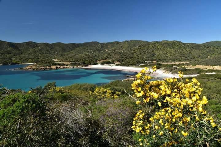 L'Onda Blu