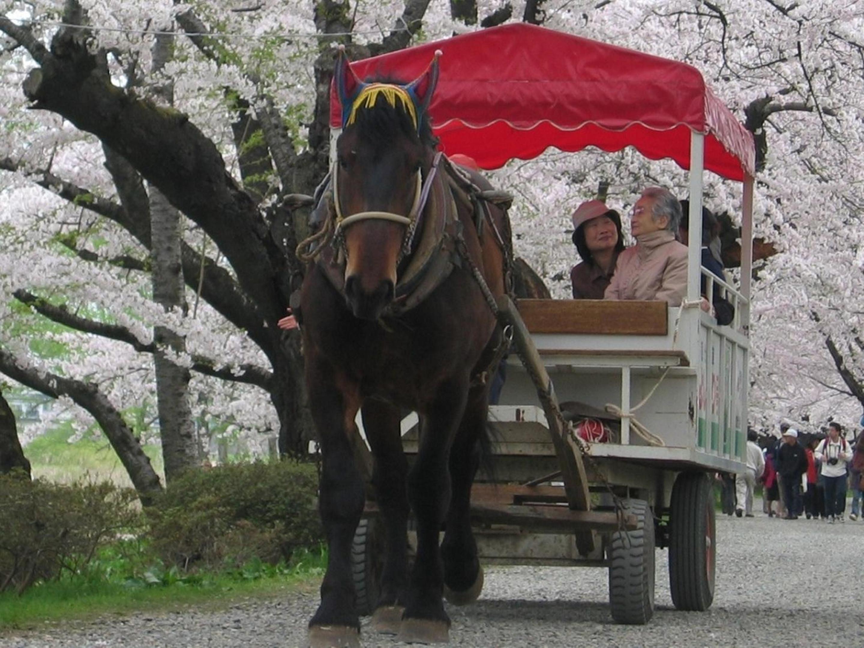 Yamayuri no Yado