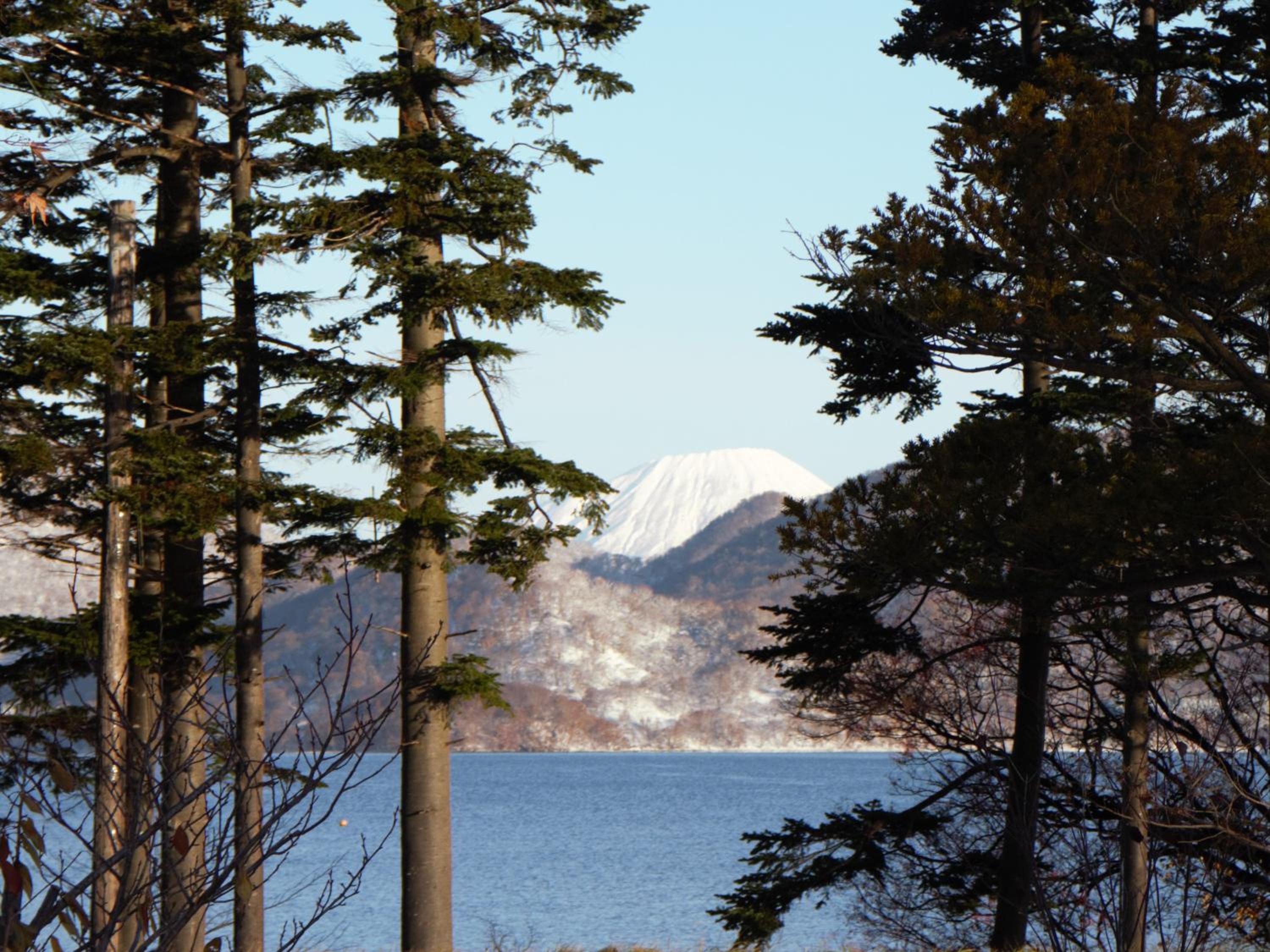 Photo 41