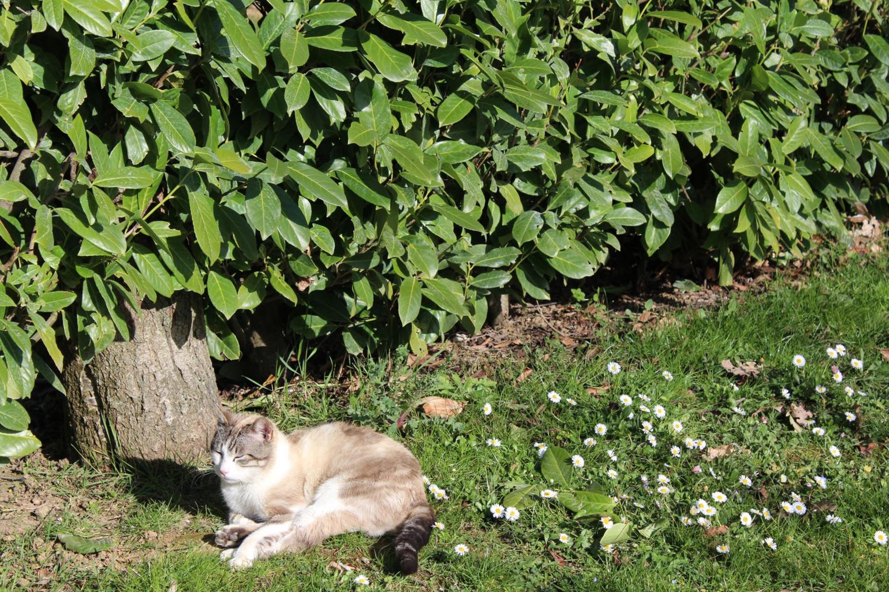 Fattoria di Rigone