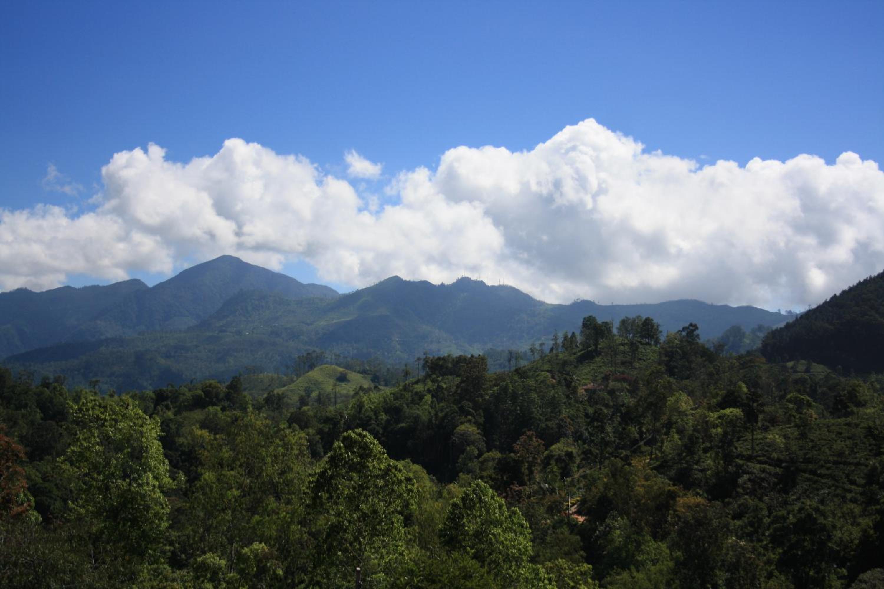 Ella Jayamali Homestay