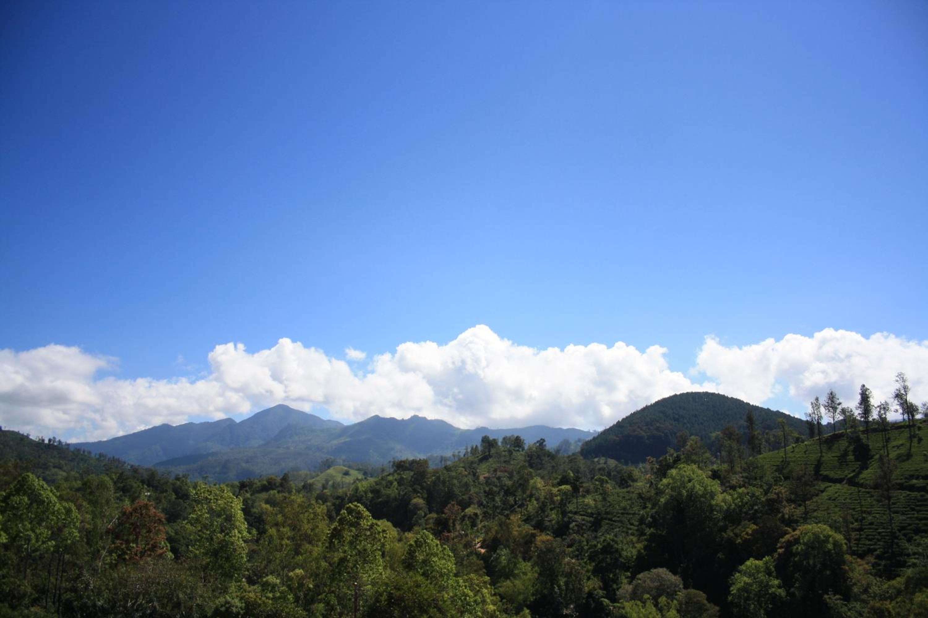 Ella Jayamali Homestay