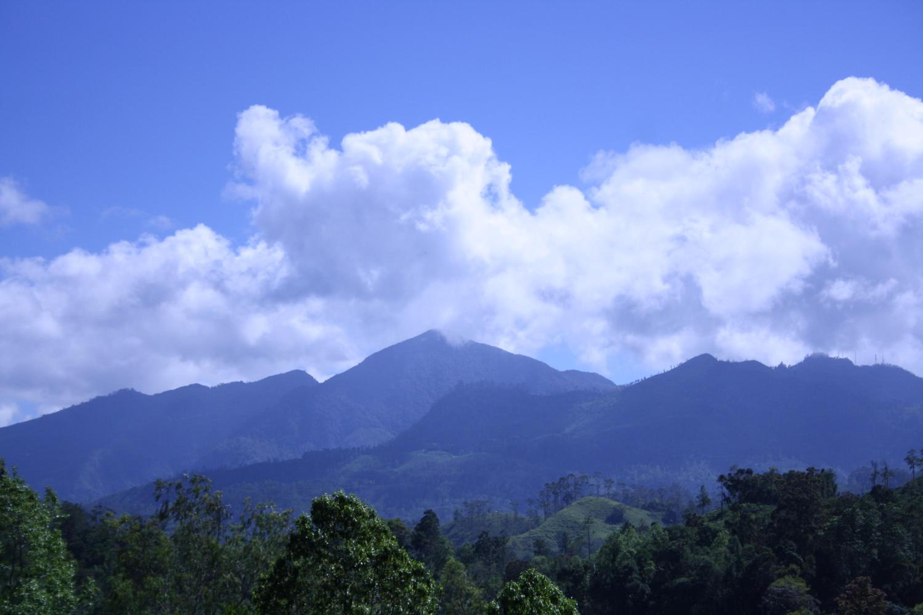 Ella Jayamali Homestay