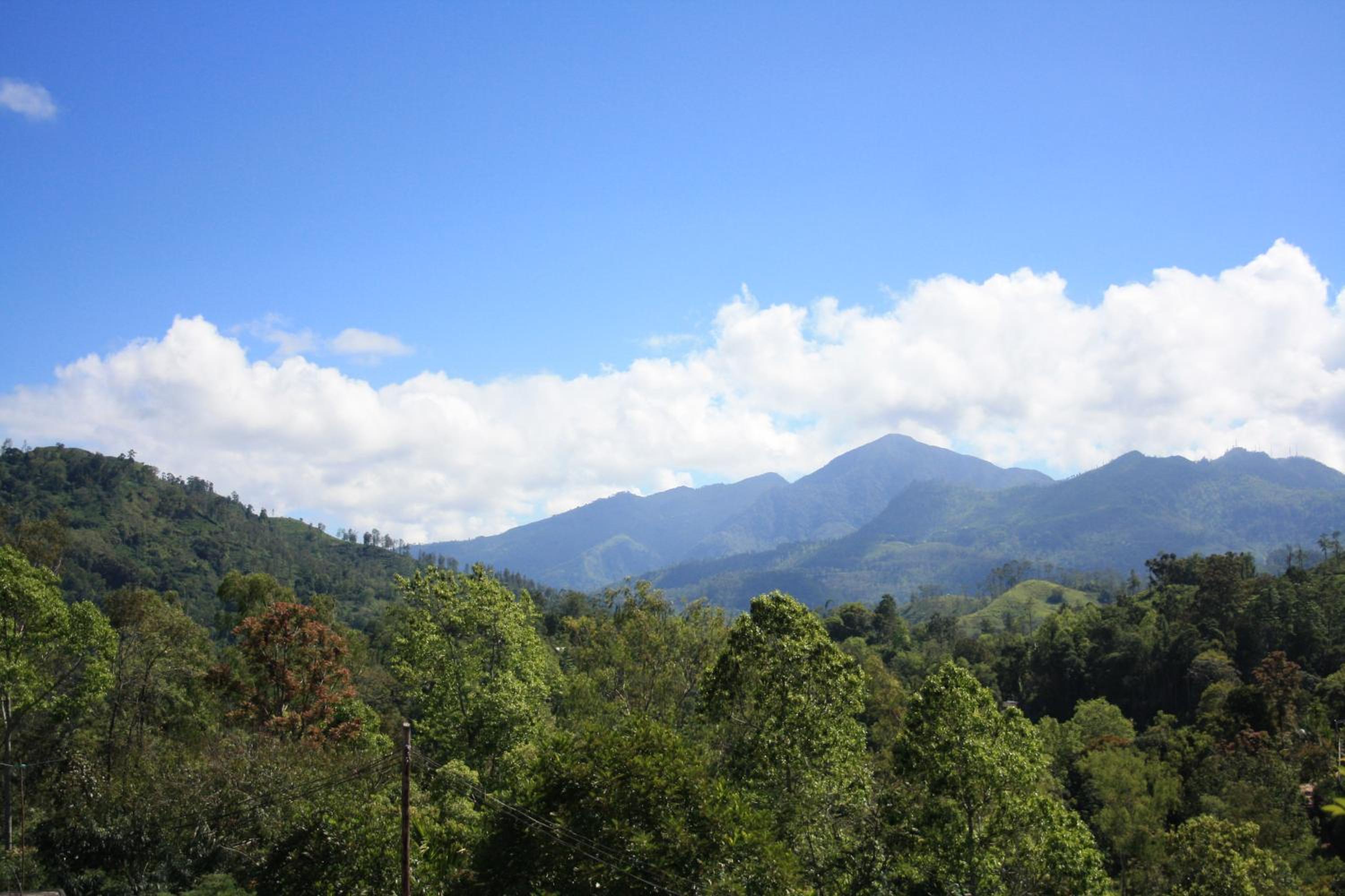Ella Jayamali Homestay